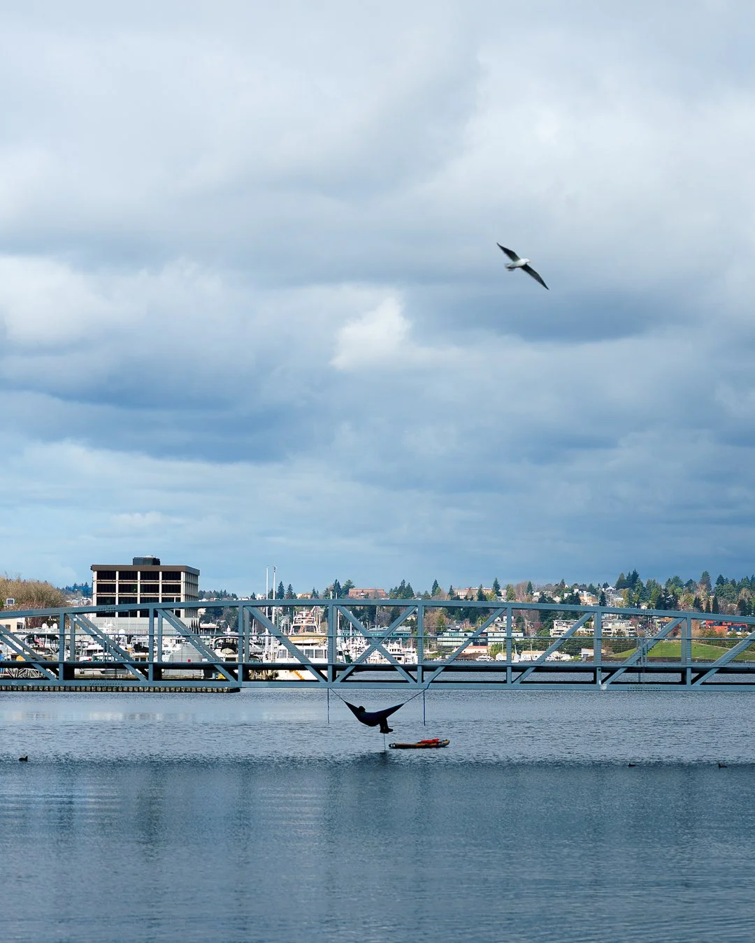 import3.1 (162)-4.jpg