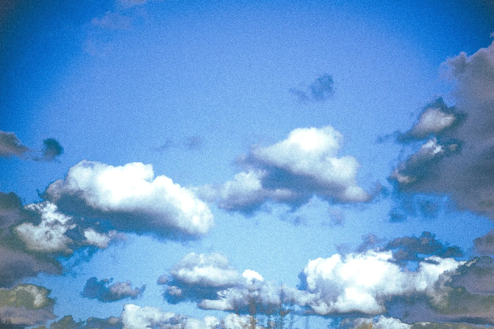 import 3.22 (47)-2.jpg