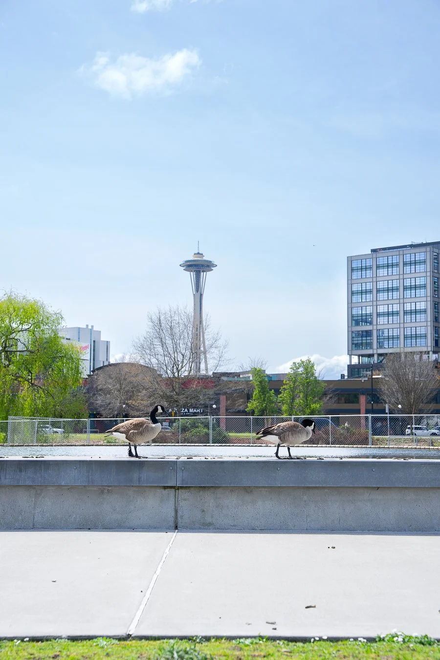 importiozon (39).jpg