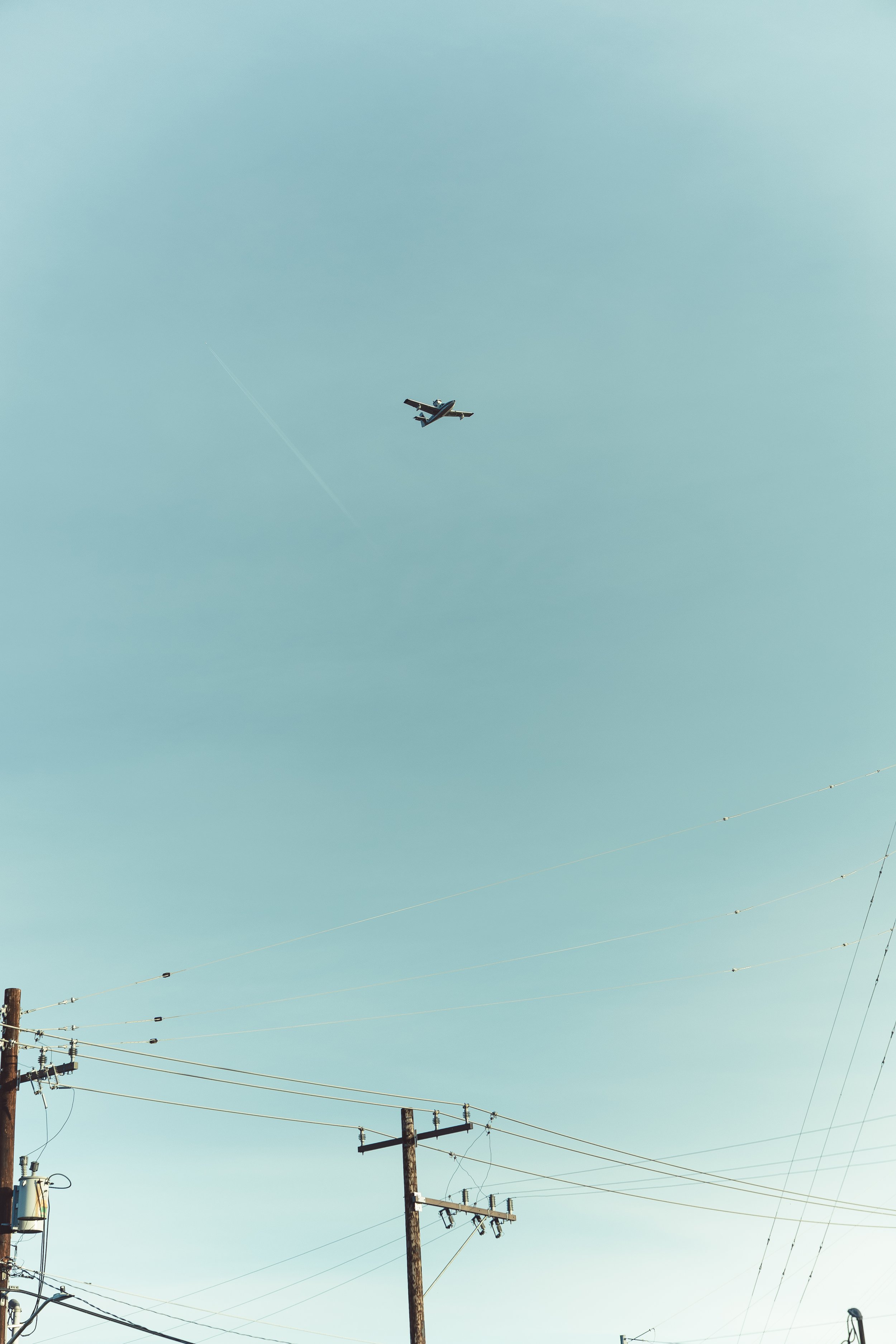 10 (196).jpg