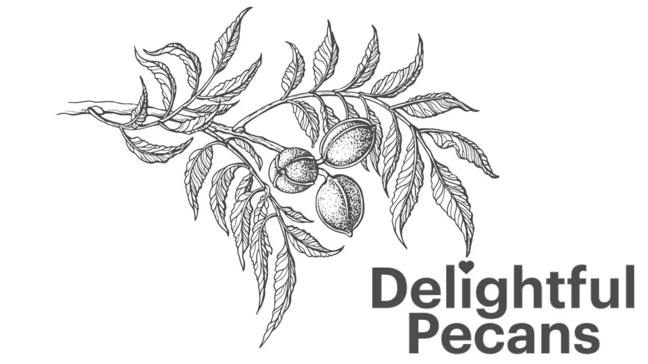 Your Ultimate Pecan Frequently Asked Questions Guide