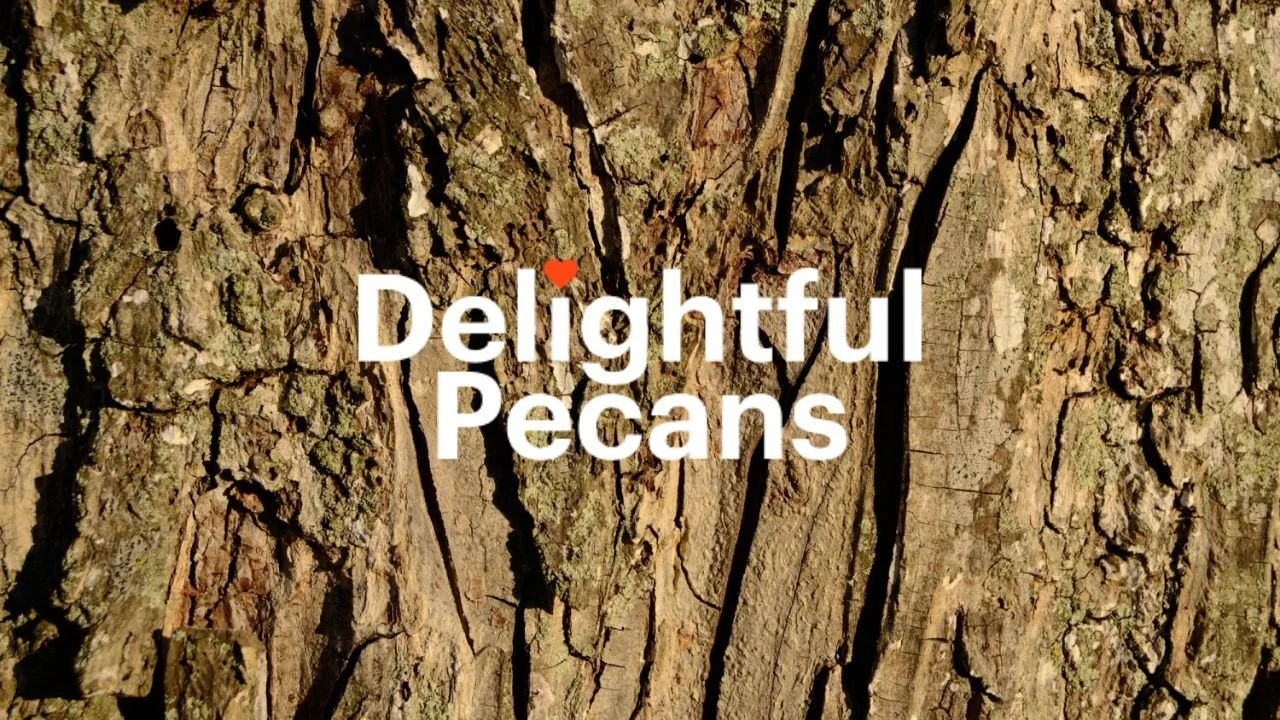 Pecan Facts: Cultivars, Graft Unions, Wood Uses, and More