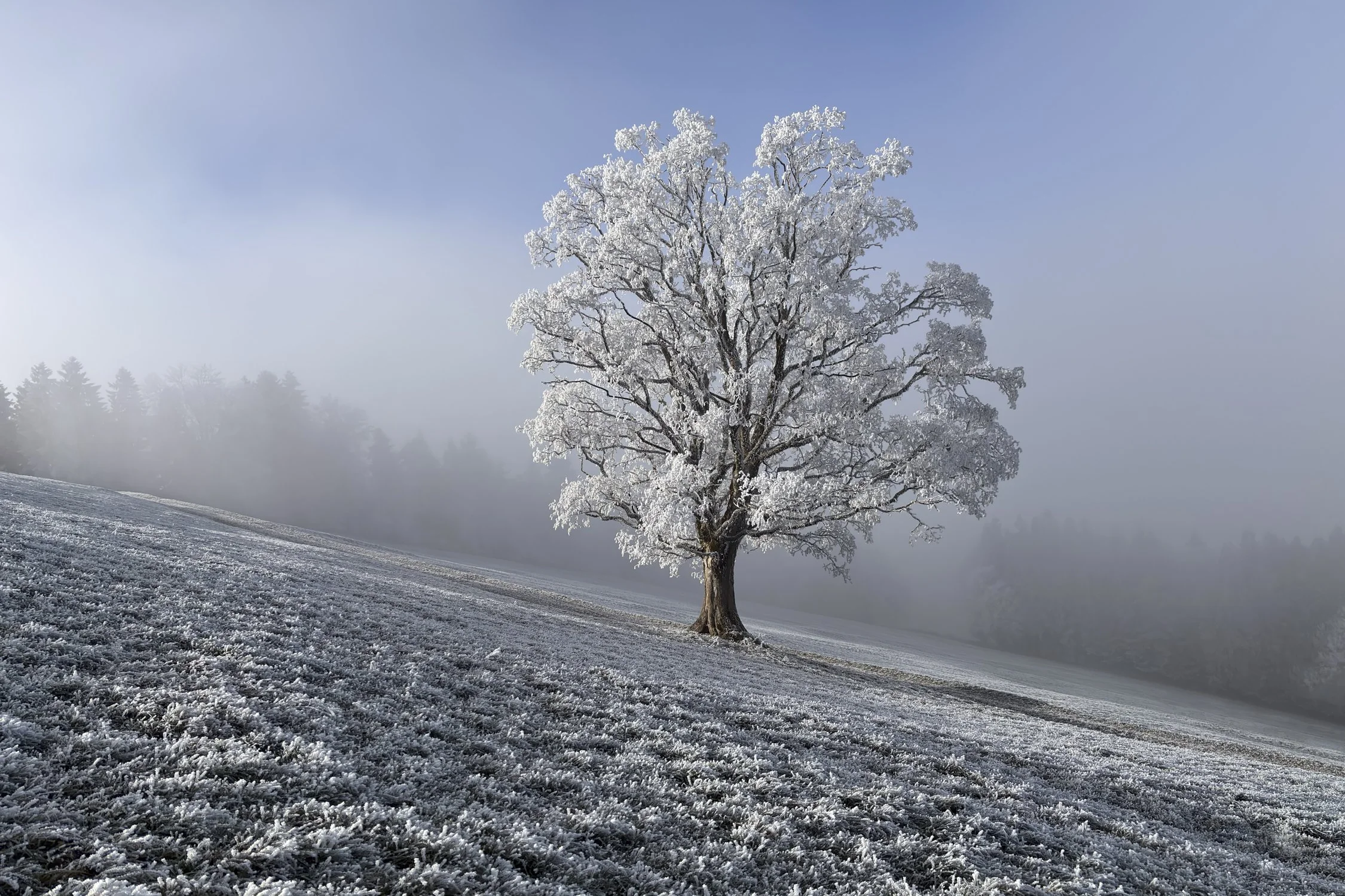 Degersheim, Toggenburg