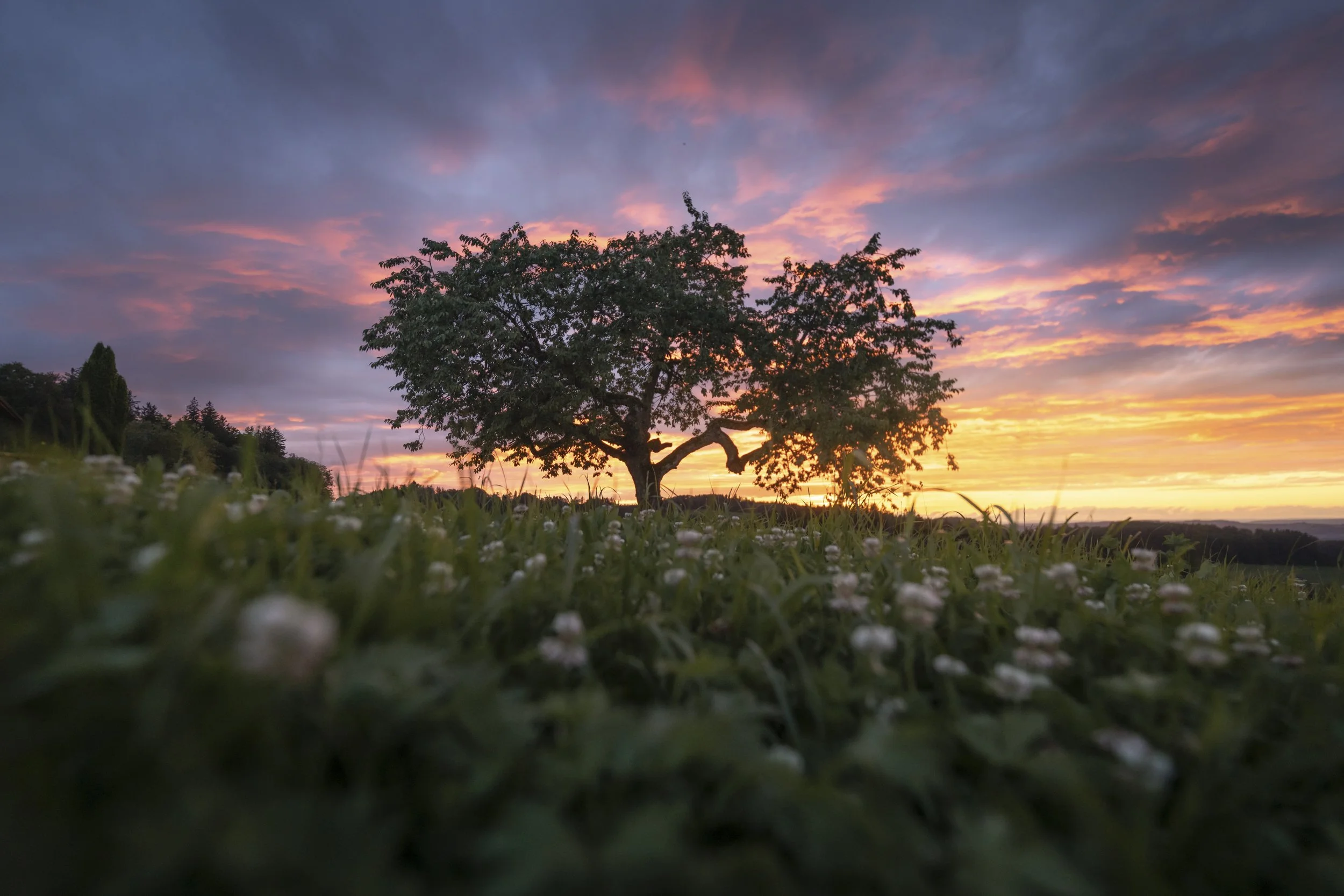 Degersheim, Toggenburg