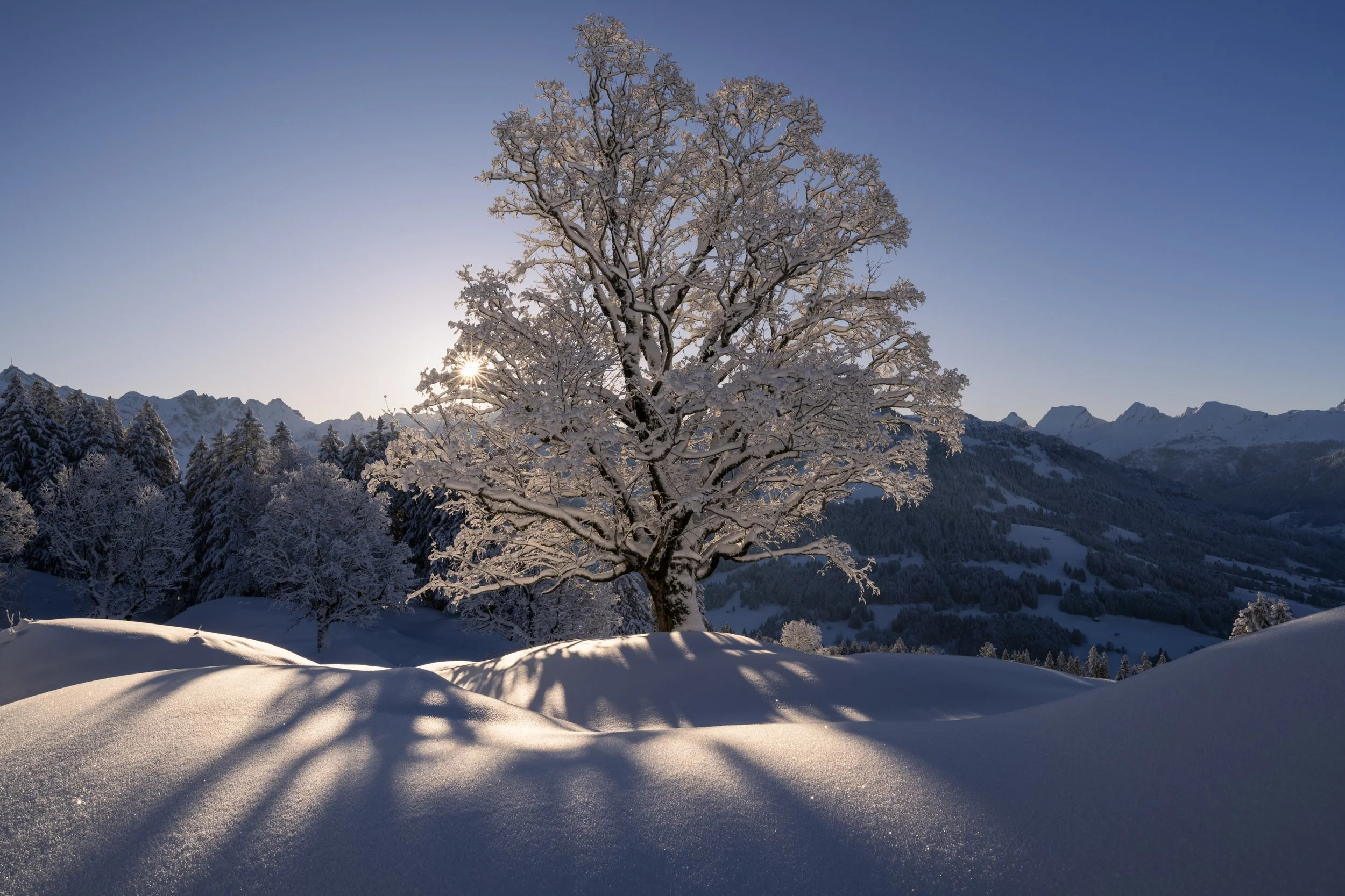 Nesslau, Toggenburg