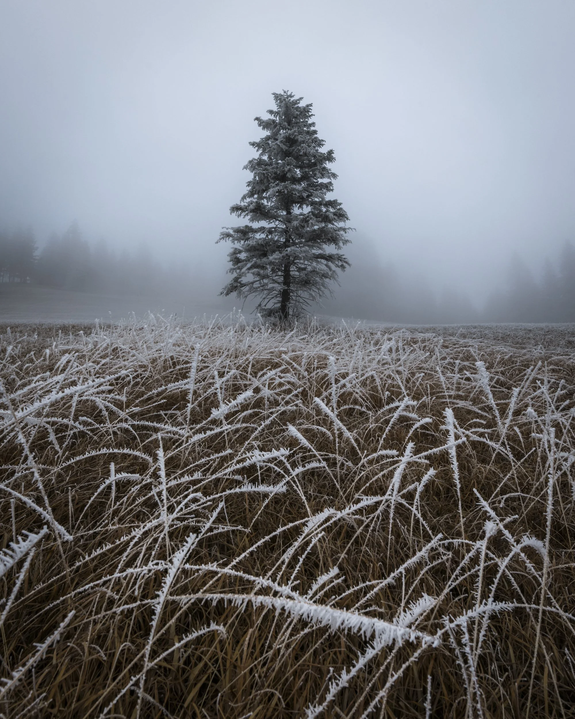 Schwende-Rüte, Appenzell Innerrhoden