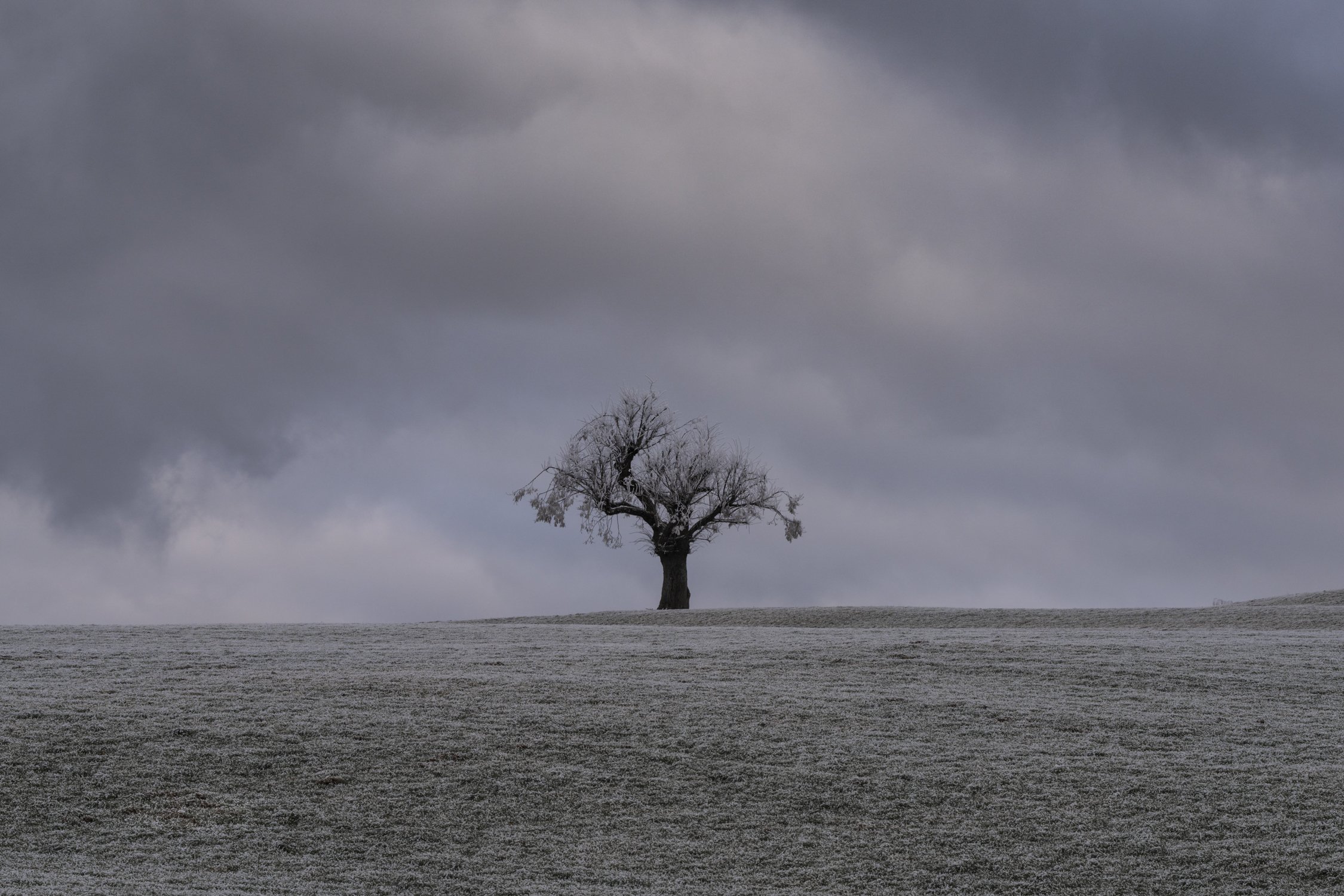 Stein, Appenzell Ausserrhoden