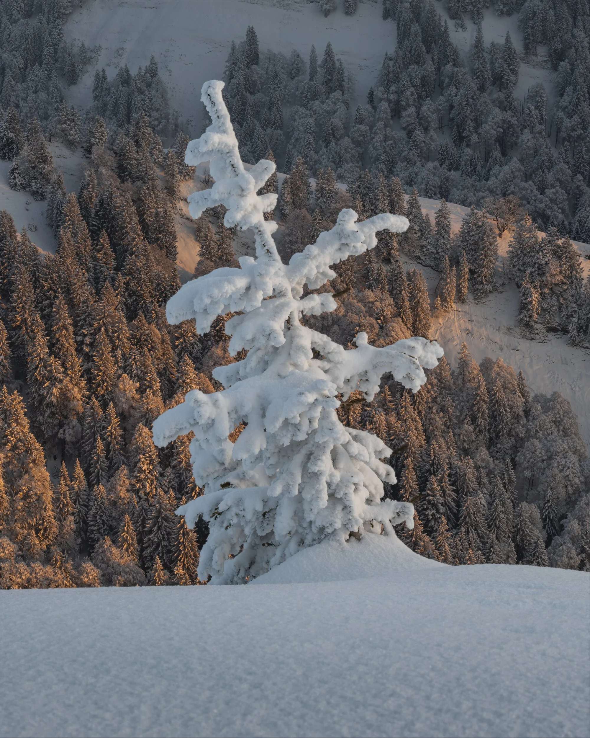 Urnäsch, Appenzell Ausserrhoden