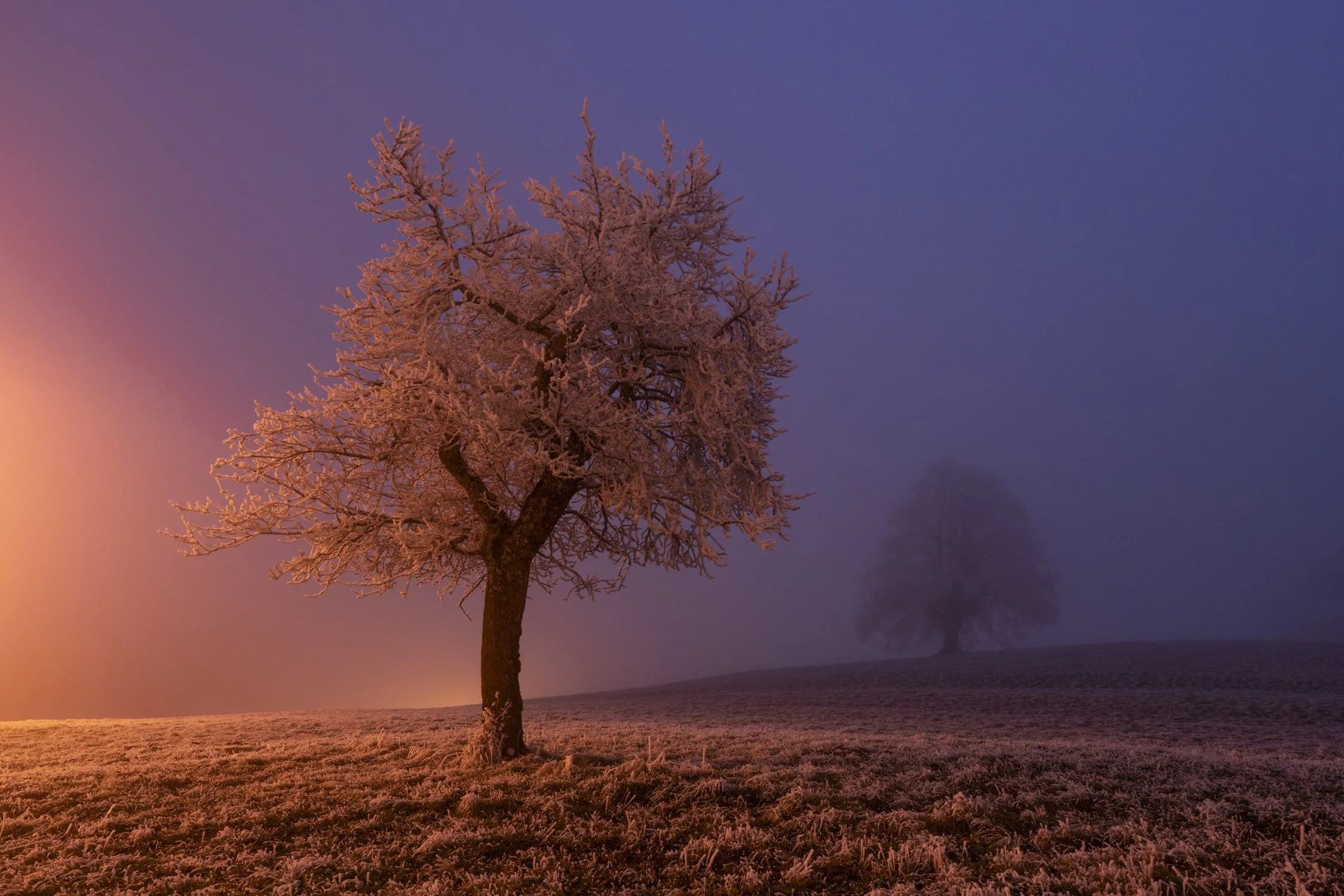 Herisau, Appenzell Ausserrhoden
