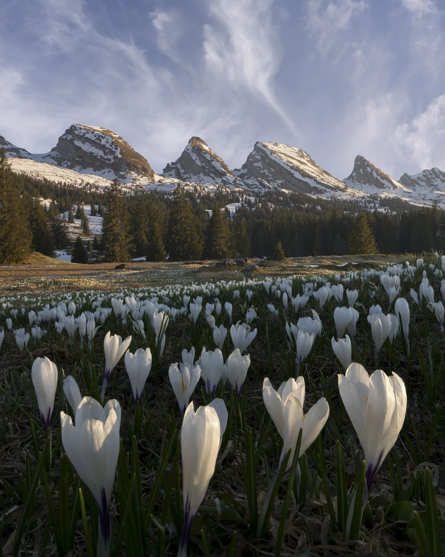 Atilla-Schweizer-Photography-696.jpg