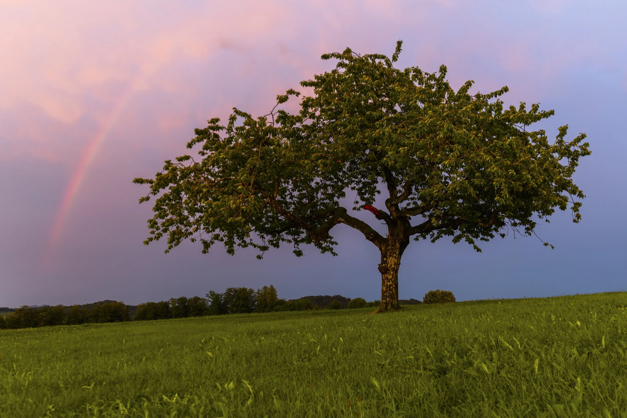 Degersheim, Toggenburg