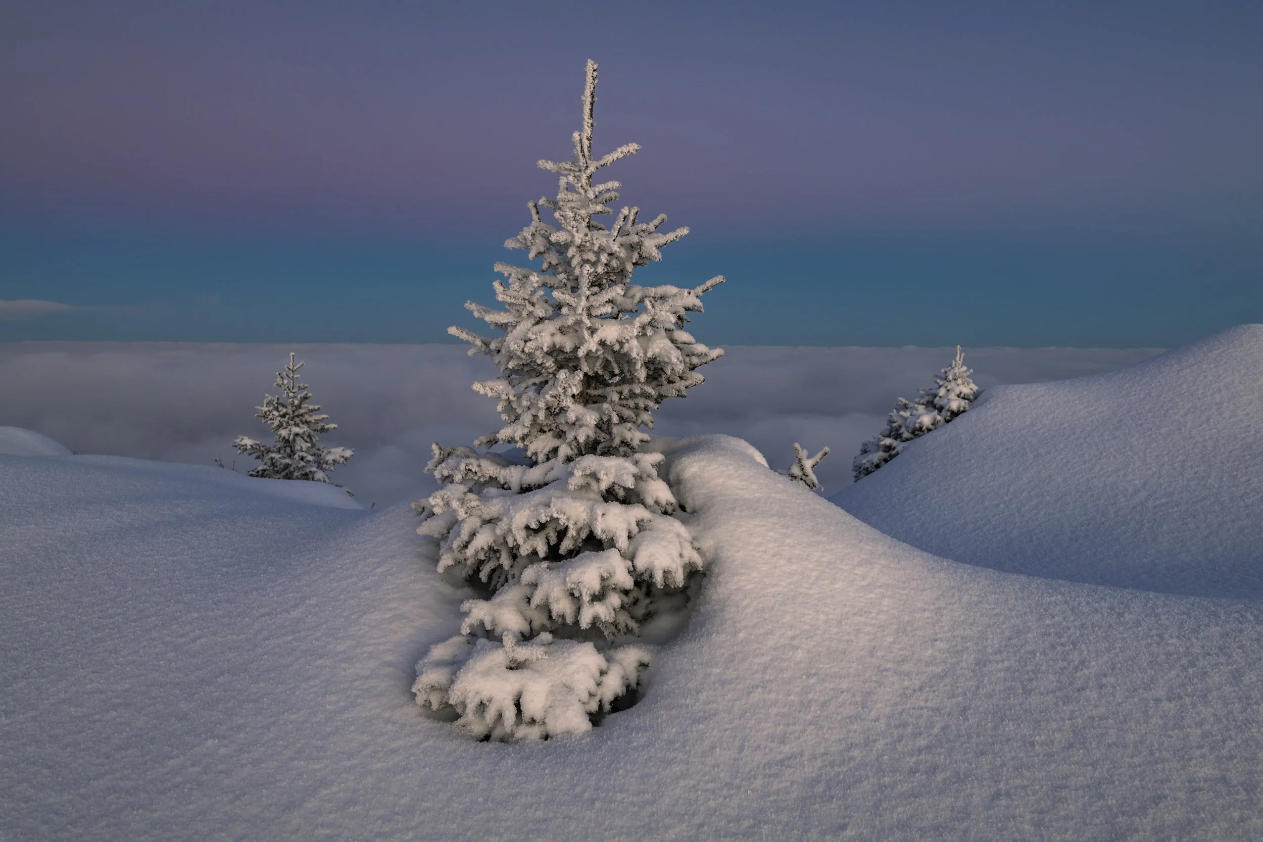 Ebnat-Kappel, Toggenburg