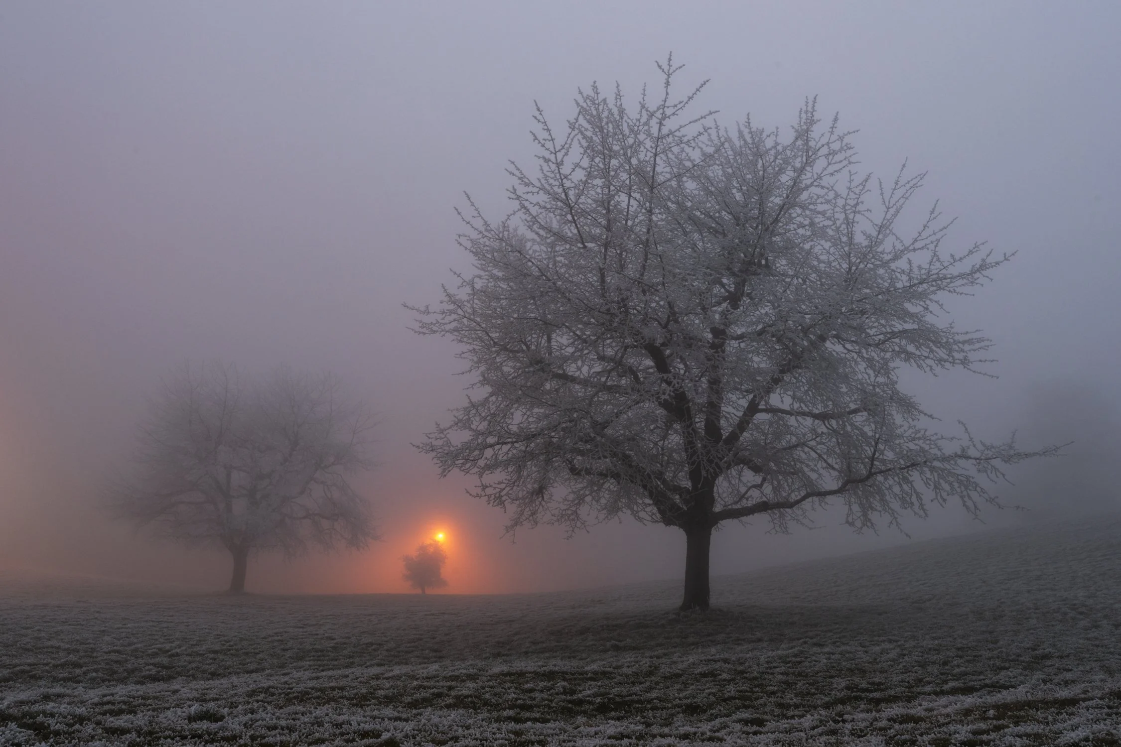Herisau, Appenzell Ausserrhoden