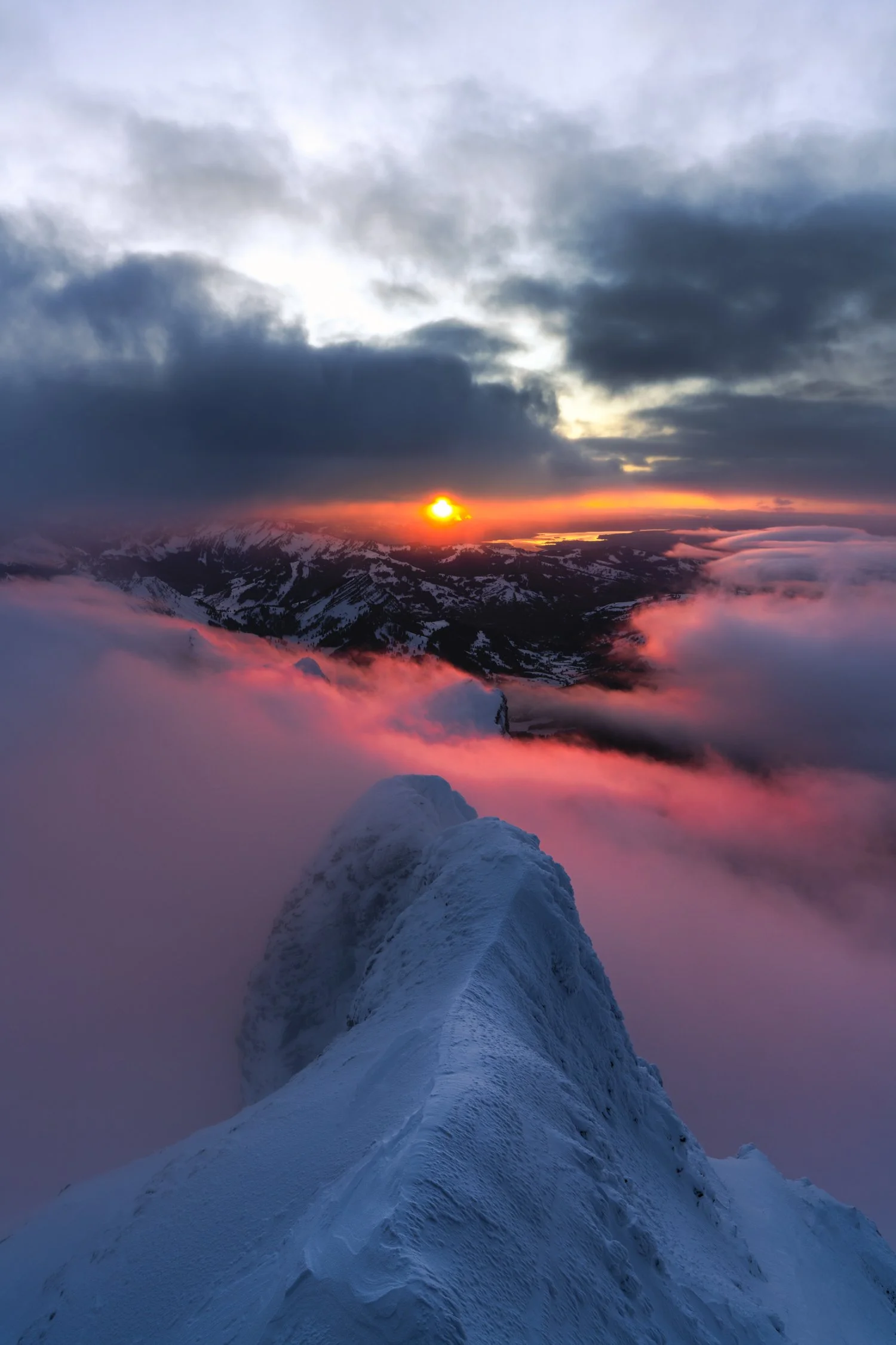 Atilla-Schweizer-Photography-693.jpg