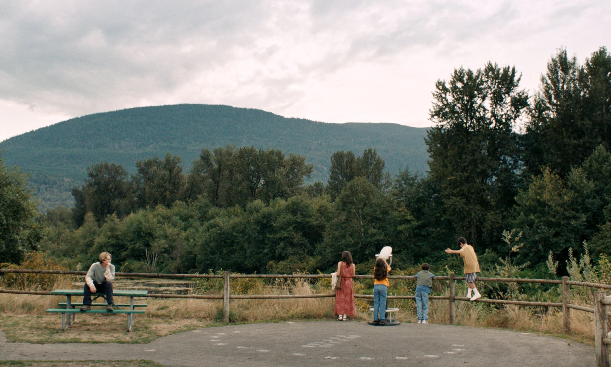 3.Blue Heron_Still.jpg