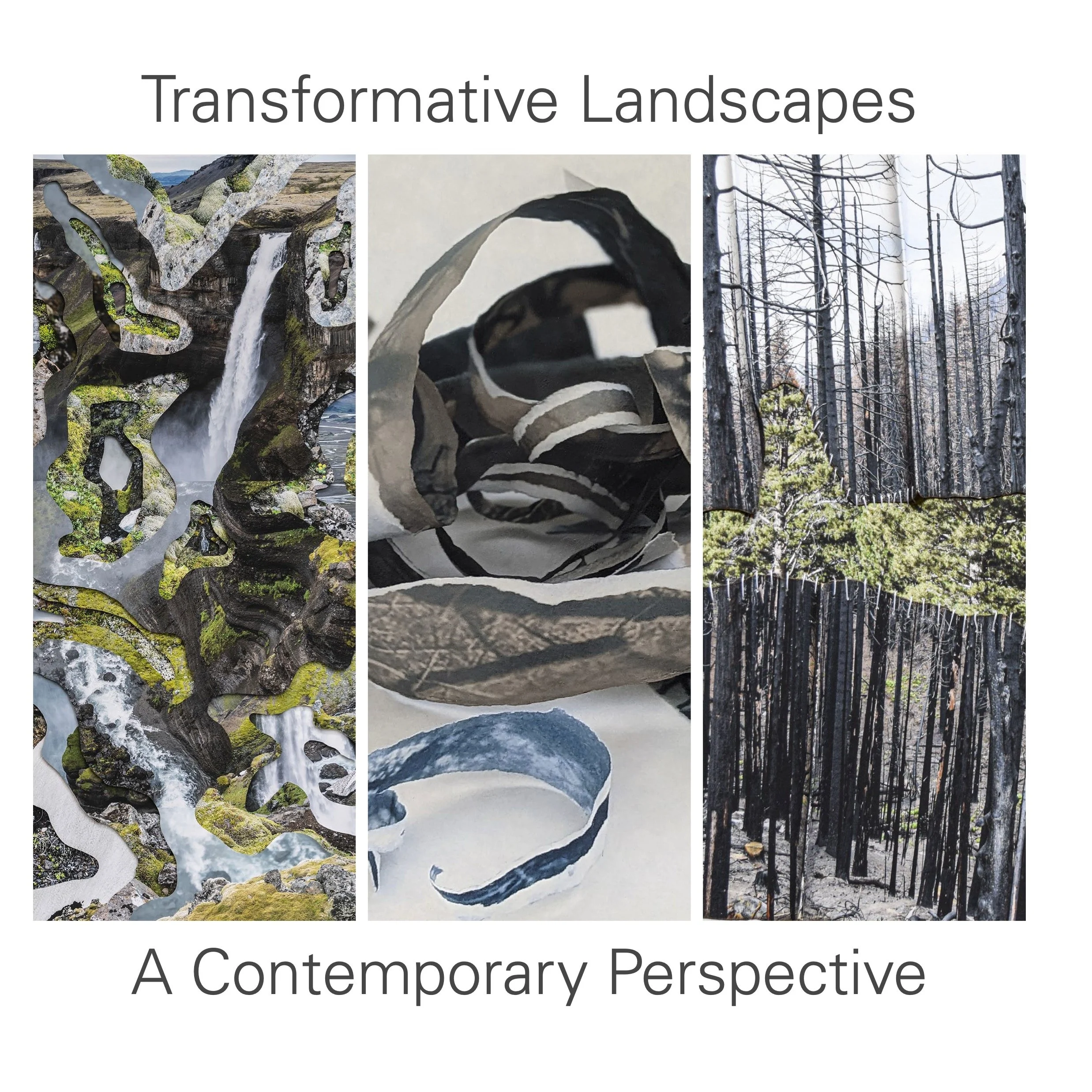 Transformative Landscapes: A Contemporary Perspective — Art Works Downtown