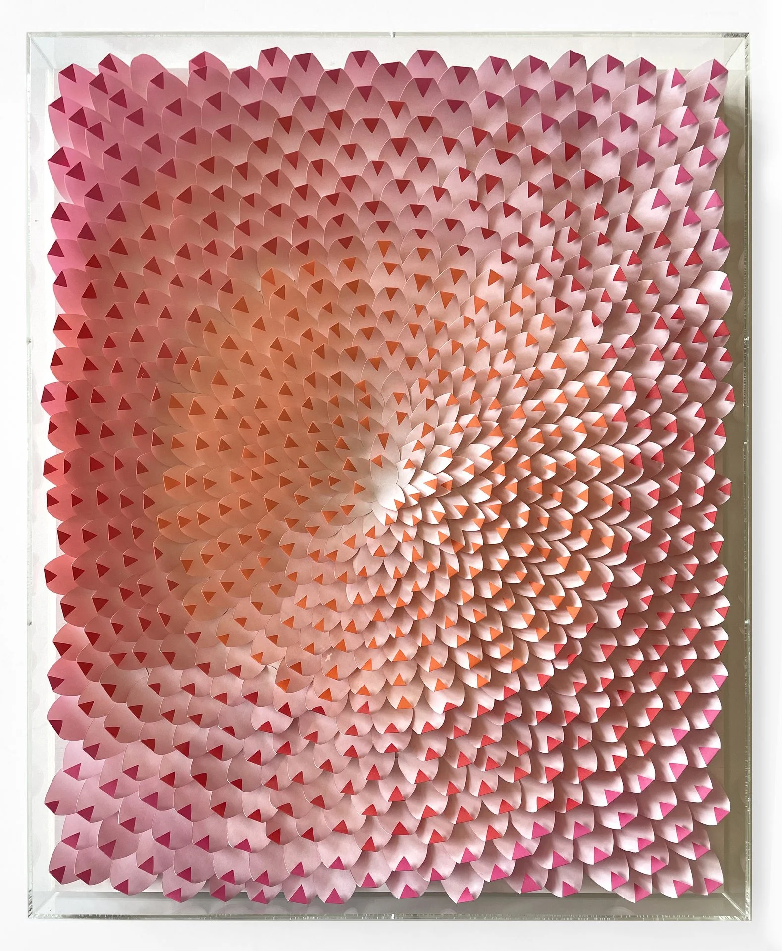 Scott Idleman  Pink Breath of
Heaven, 2025, hand-cut paper on
wood panel with plexiglass framing, 24" x 20" x 3"