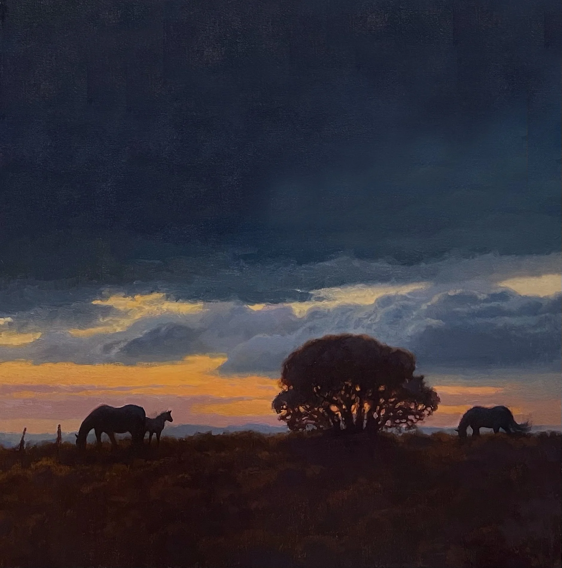 Studio 6: Carol Peek