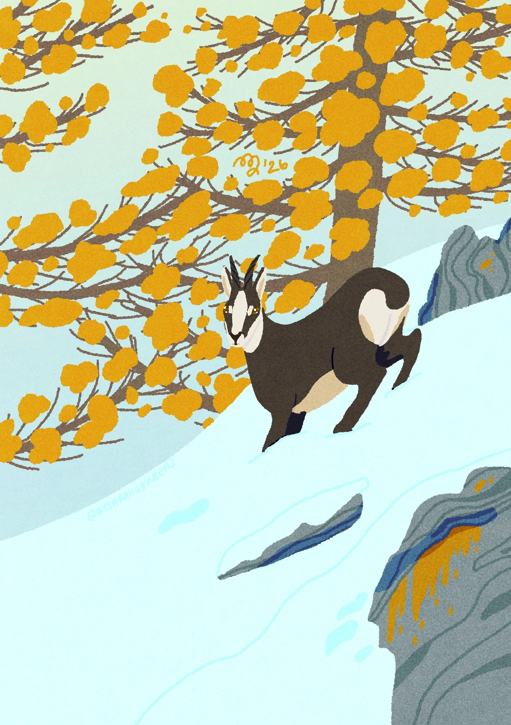 DrawTheAlps-06.JPG