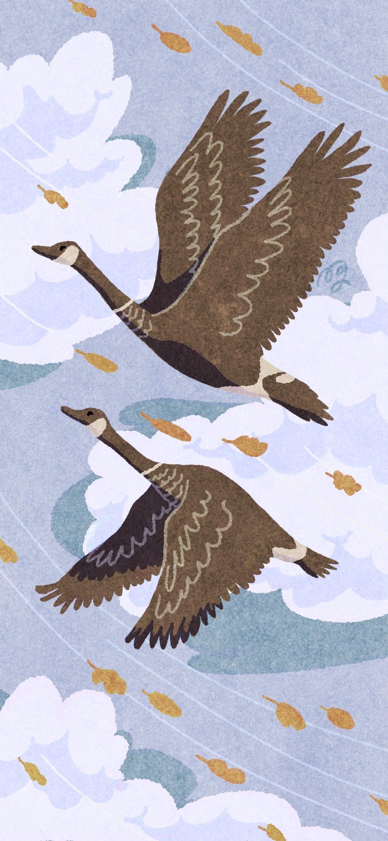 Buchcover für Die wunderbare Reise des kleinen Nils Holgersson mit den Wildgänsen