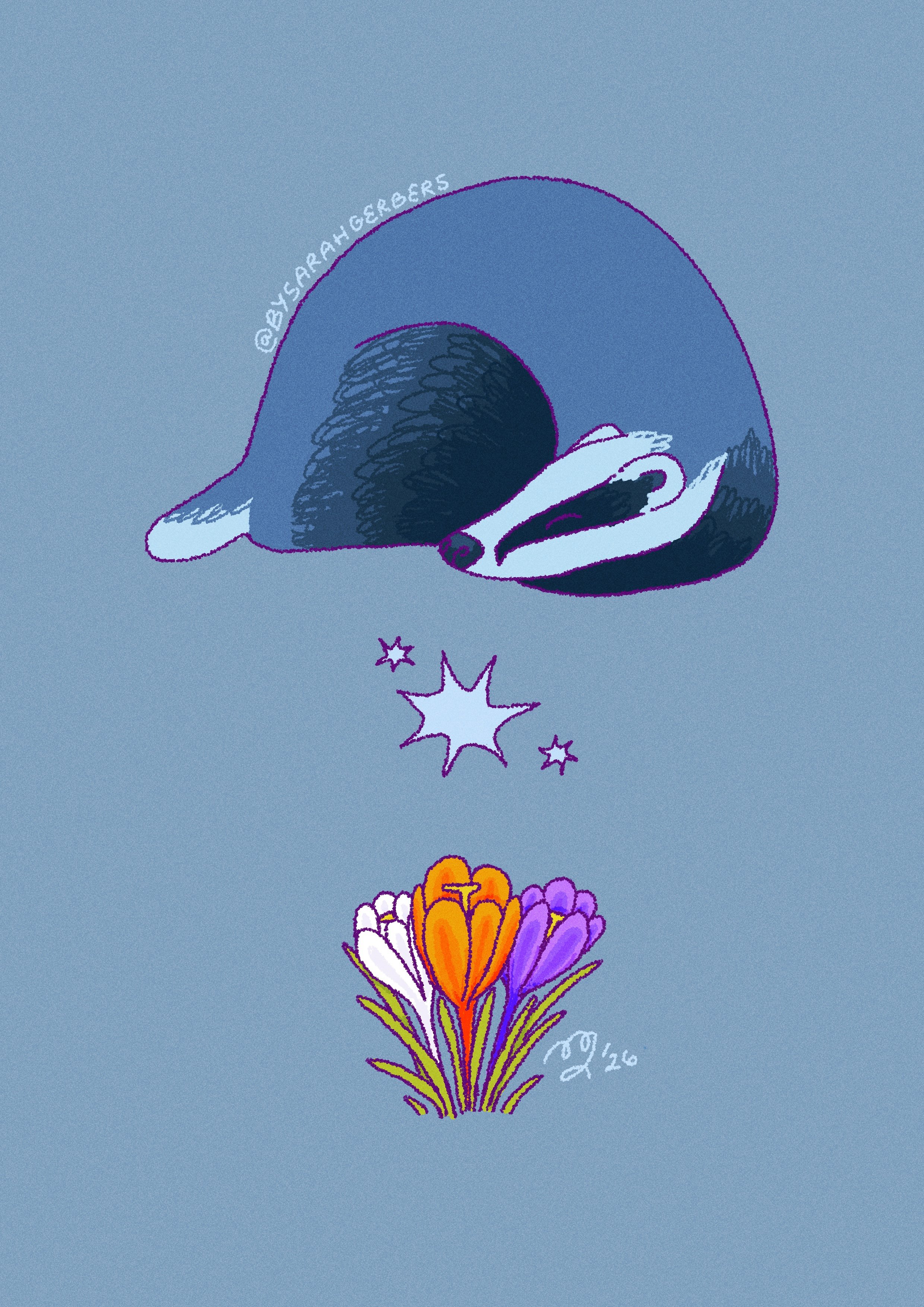 Crocus_—_Frost.jpg