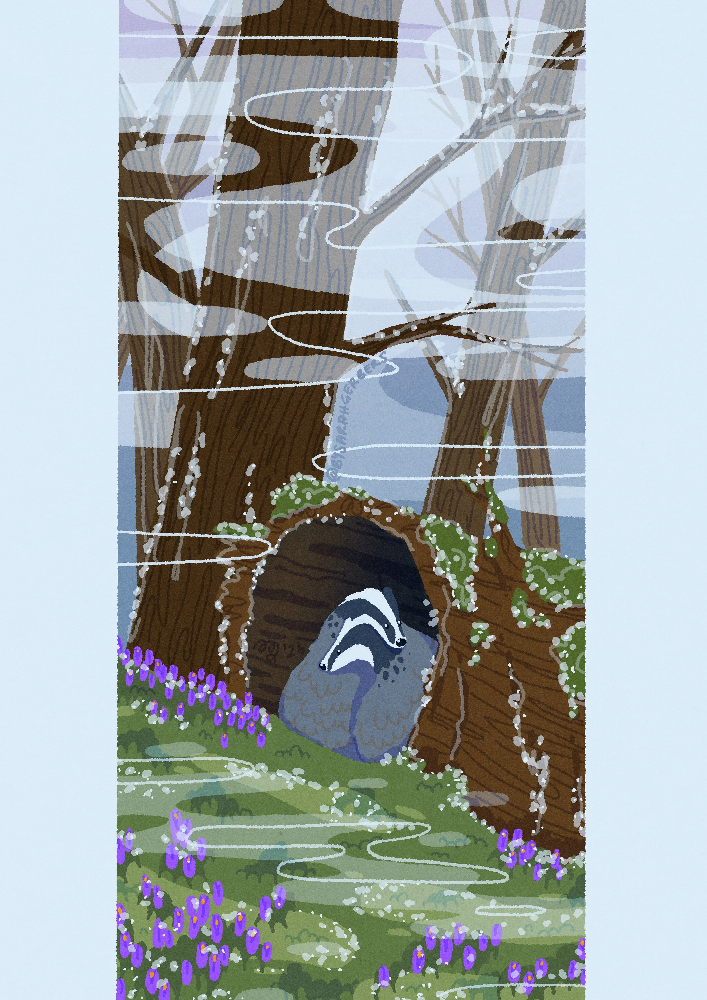 Crocus_—_Frost 1.JPG