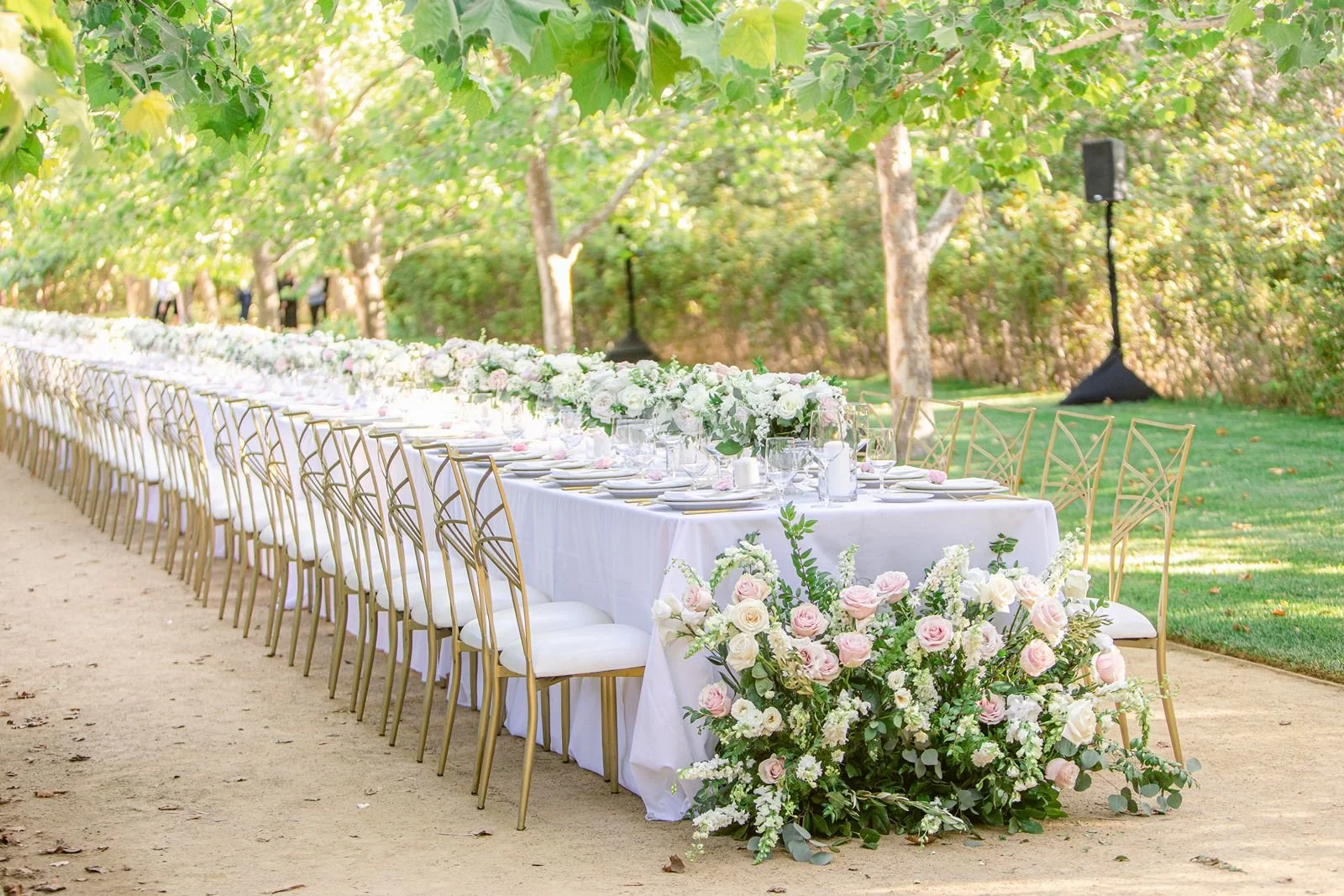 renoda campbell1.jpg