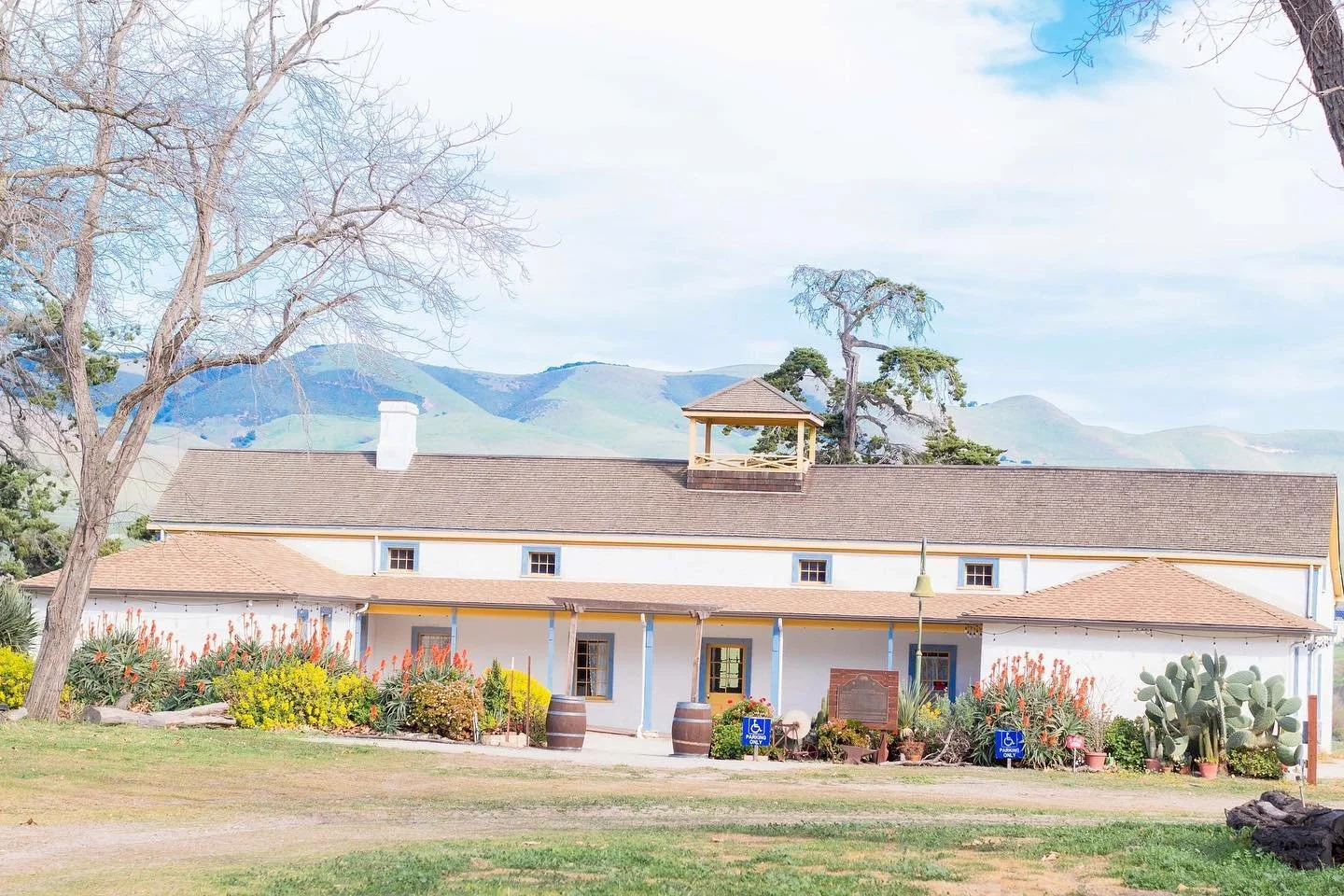 dana adobe4.jpg