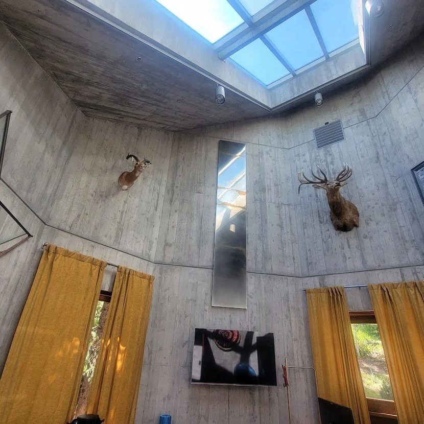 Taxidermy install.jpg