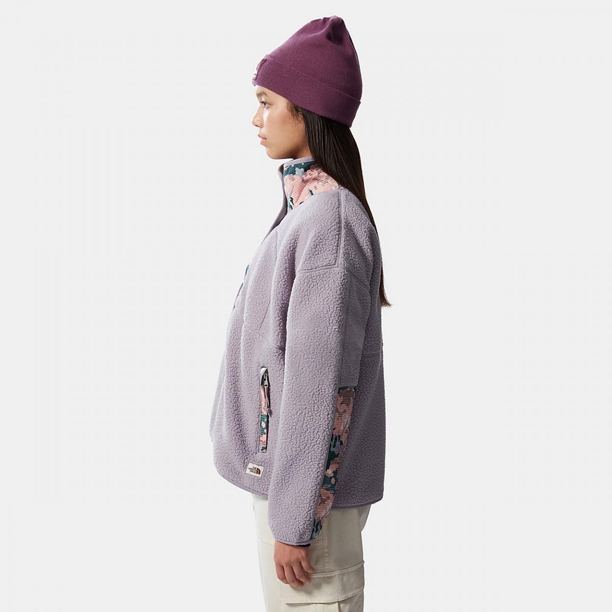 svetry-a-mikiny-s-kapucc3ad-the-north-face-dc3a1mskc3a9-flc3adsovc3a1-bunda-cragmont-minimal-grey-laurel-wreath-green-canvas-paint-texture-print_3.jpg