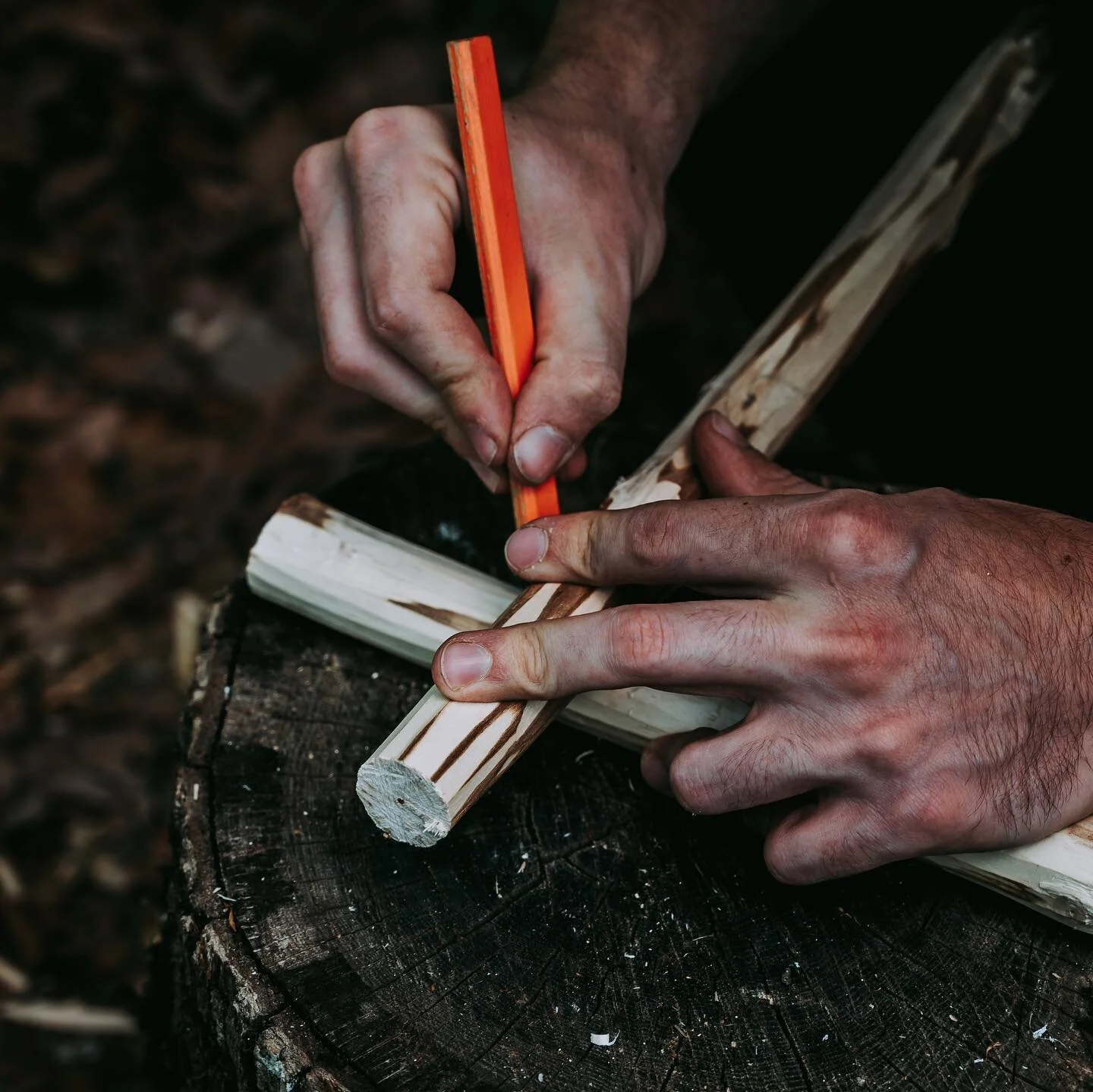 Notch Making with @alexander_w_bryant 

&mdash;&mdash;&mdash;&mdash;&mdash;&mdash;&mdash;&mdash;&mdash;&mdash;&mdash;&mdash;&mdash;&mdash;&mdash;&mdash;&mdash;&mdash;&mdash;

#survivalcraft #survival #bushcraftlife #sarcraft #georgiabushcraft #woodlo