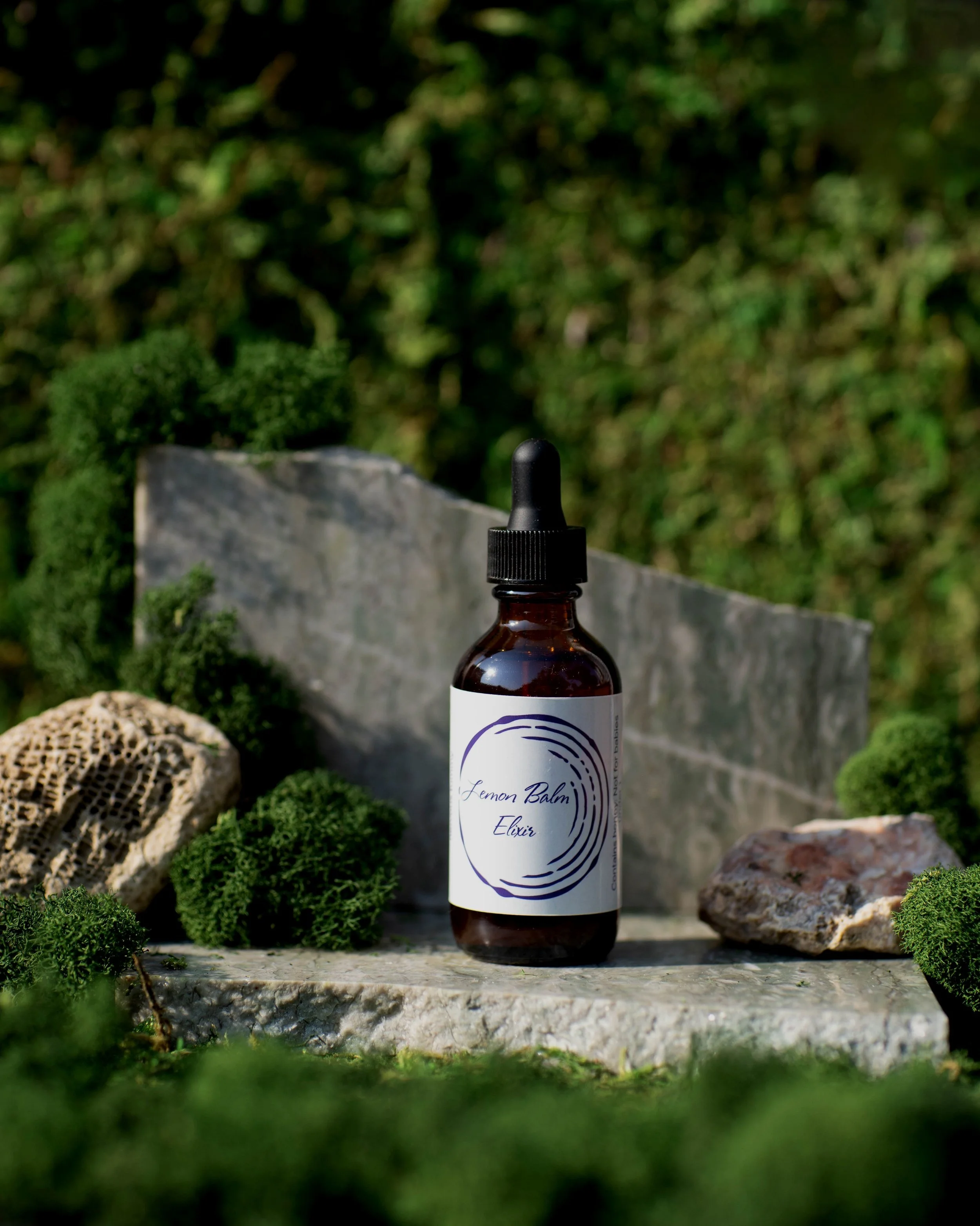 Lemon+Balm+roya.jpg
