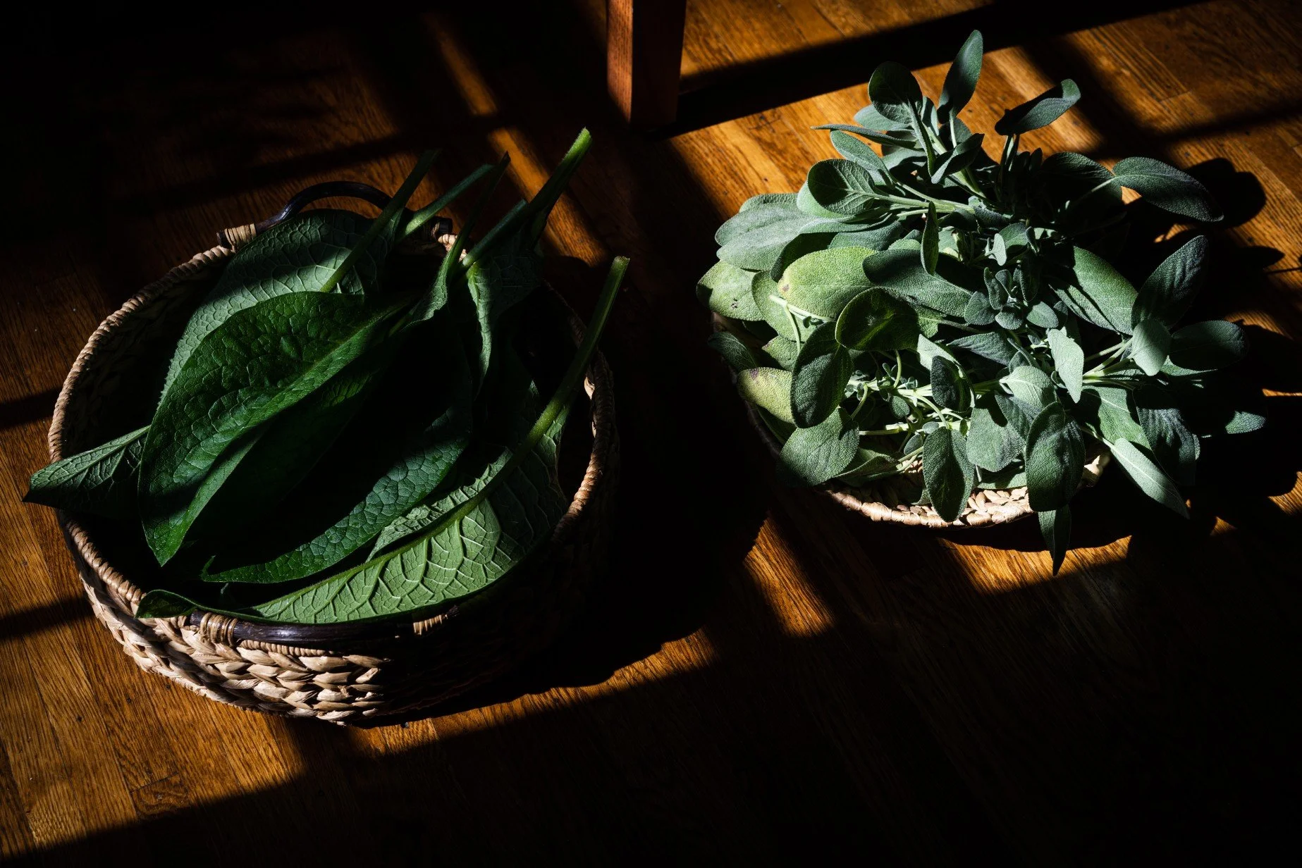 APOTHECARY — Full Circle Holistic Louisville KY