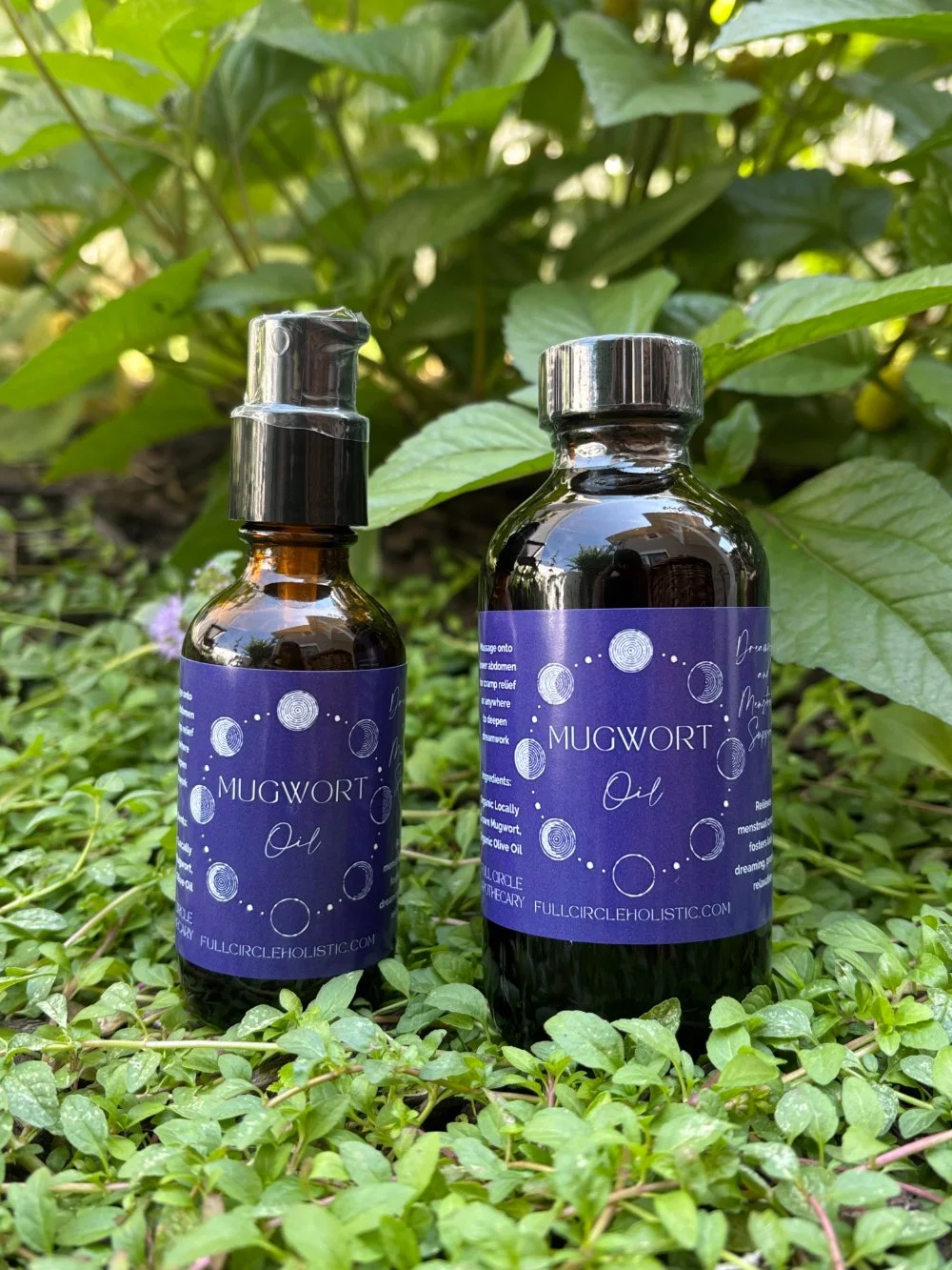 Mugwort Oil Wholesale