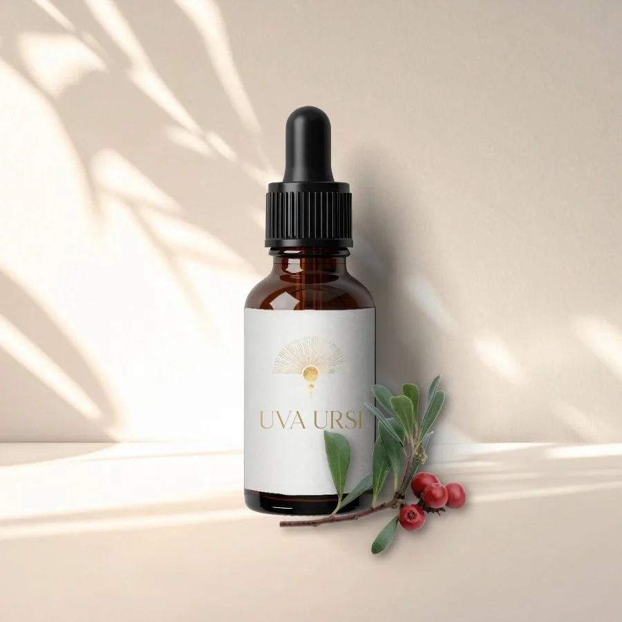 Uva Ursi