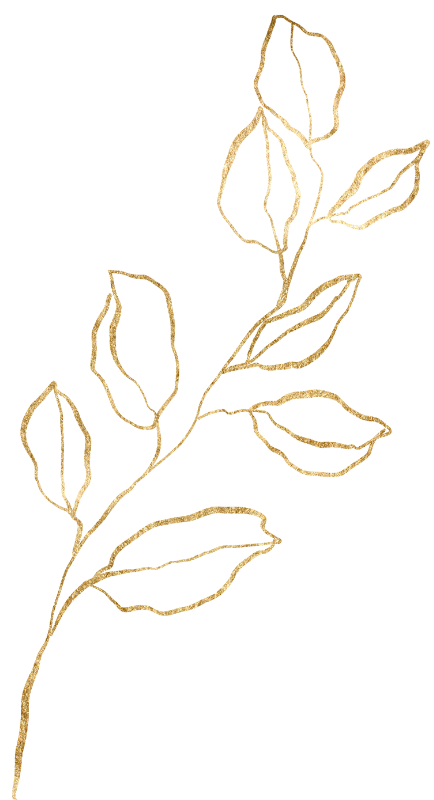 Shekinah Herbals
