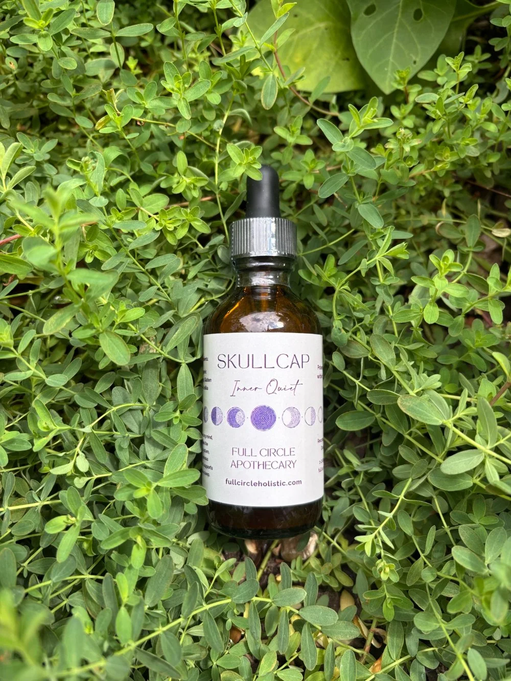 Skullcap