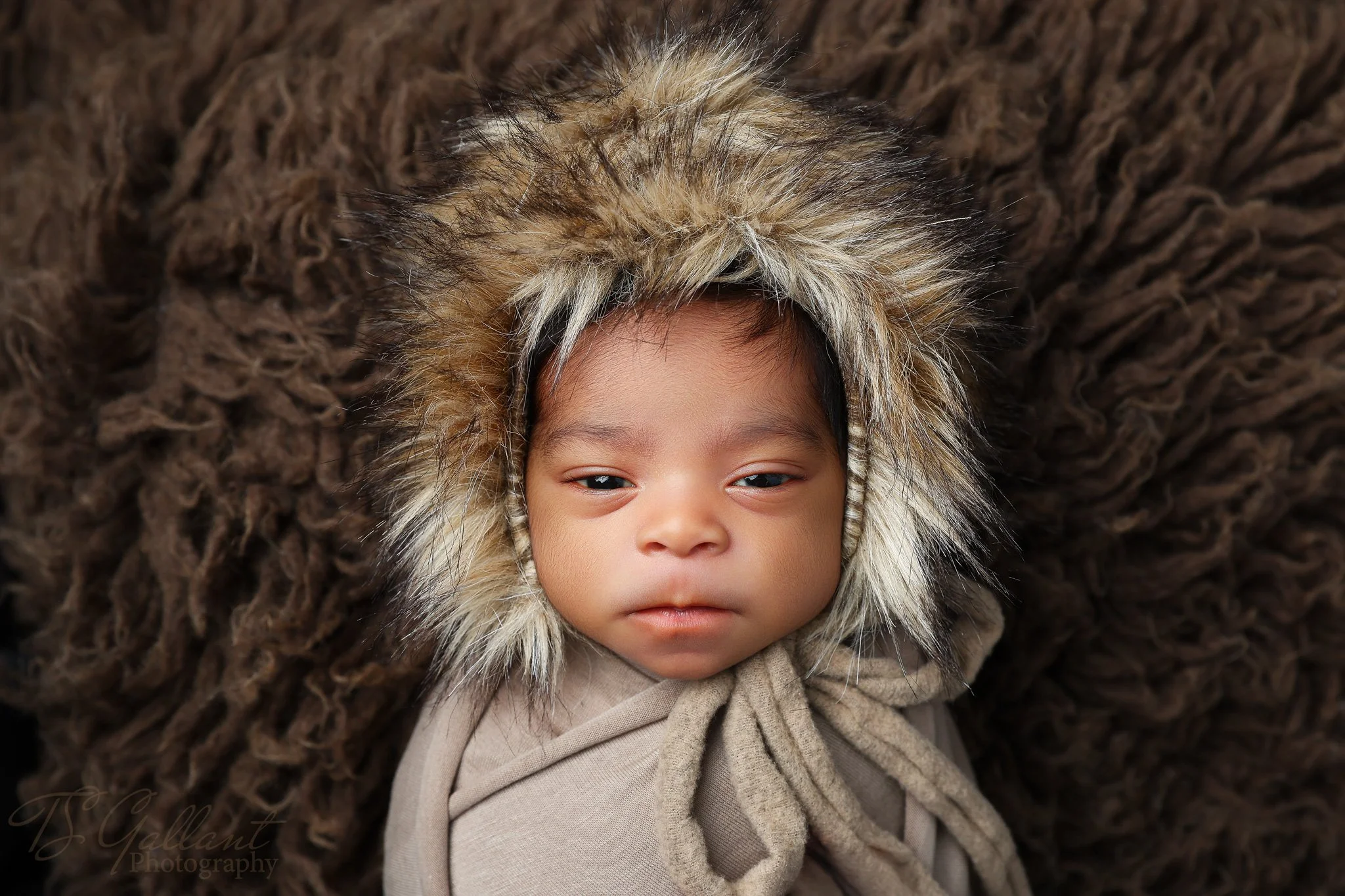 Baby is Boss