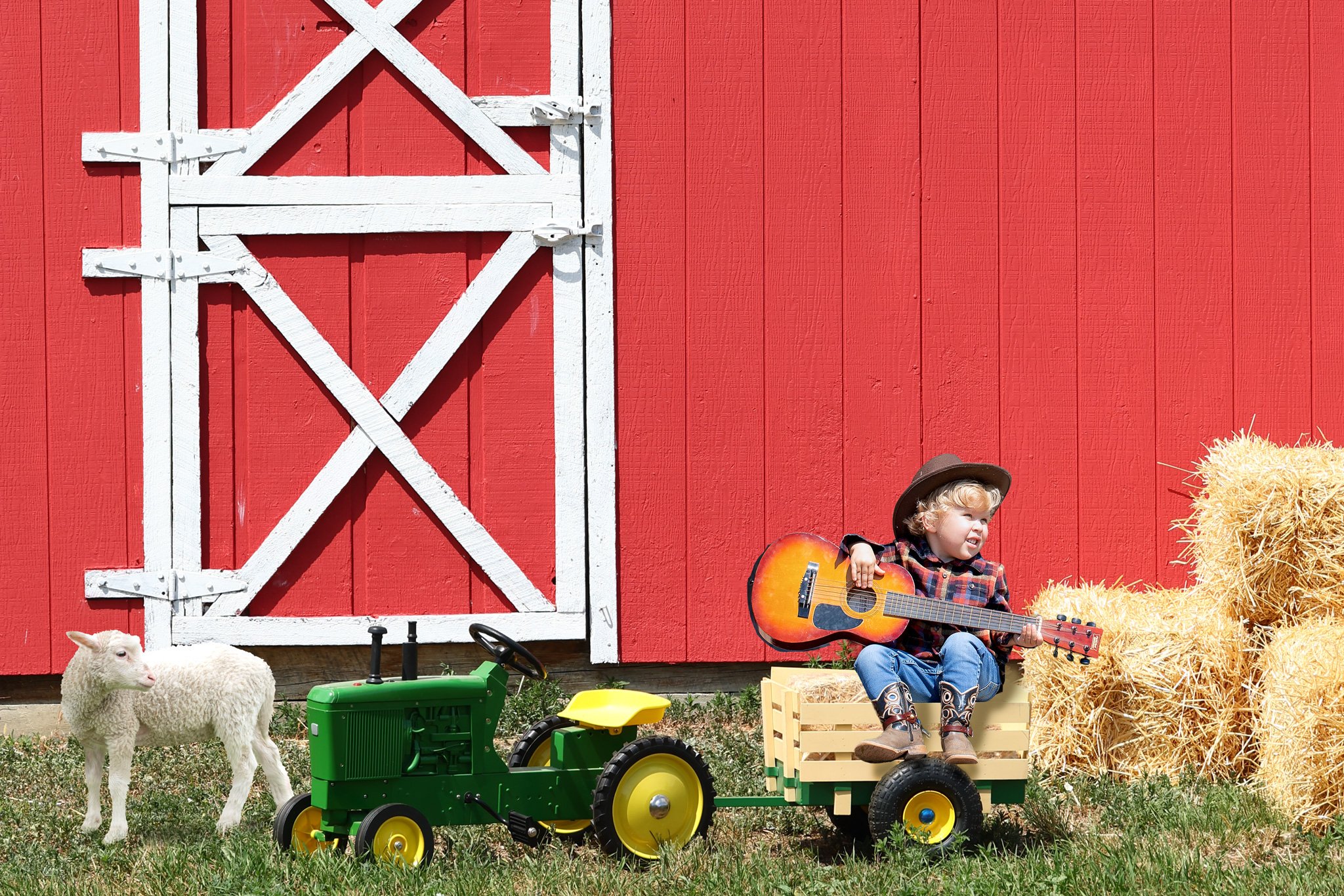 Down on the farm: barnyard mini sessions