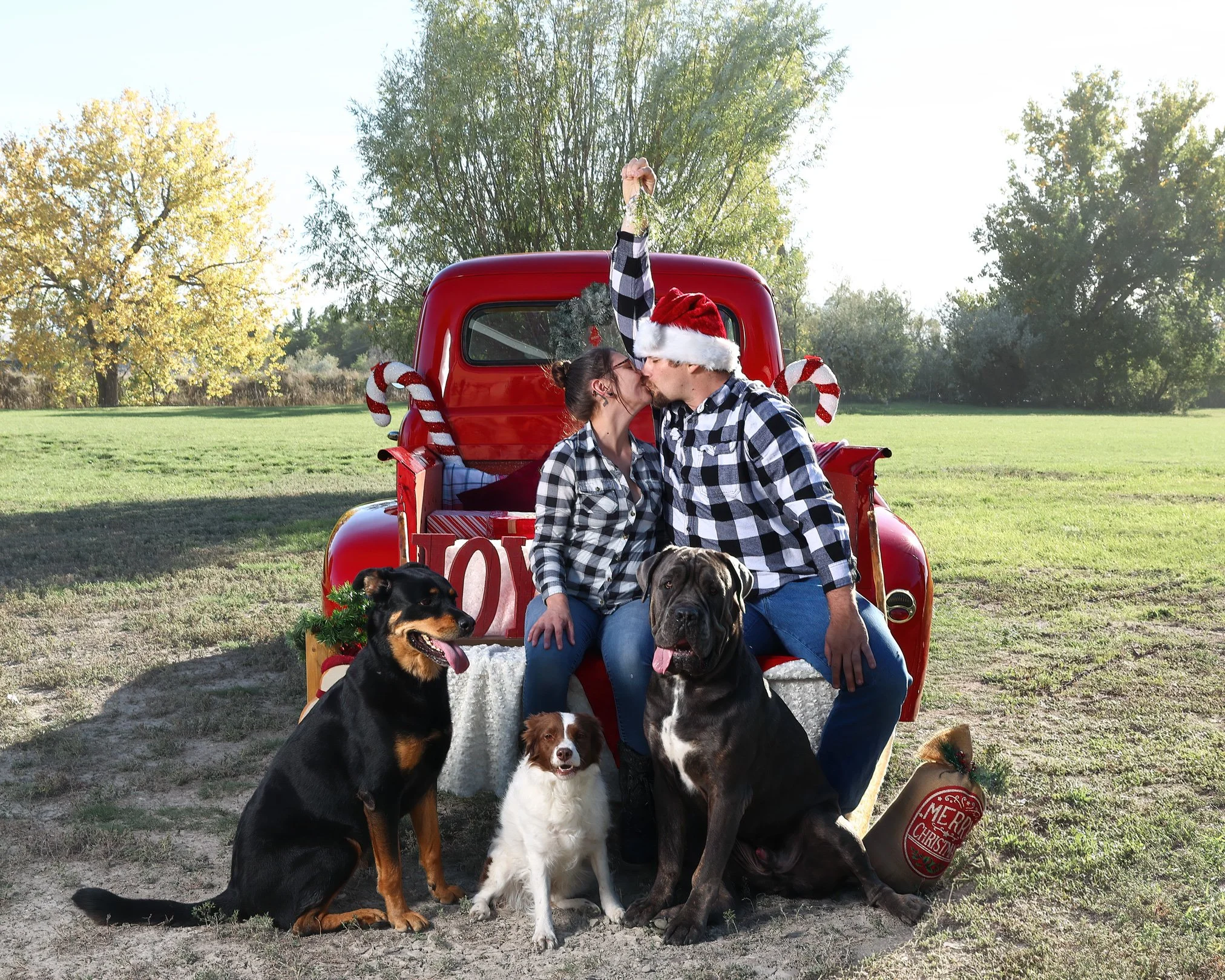 billings-laurel-christmas minis.jpg