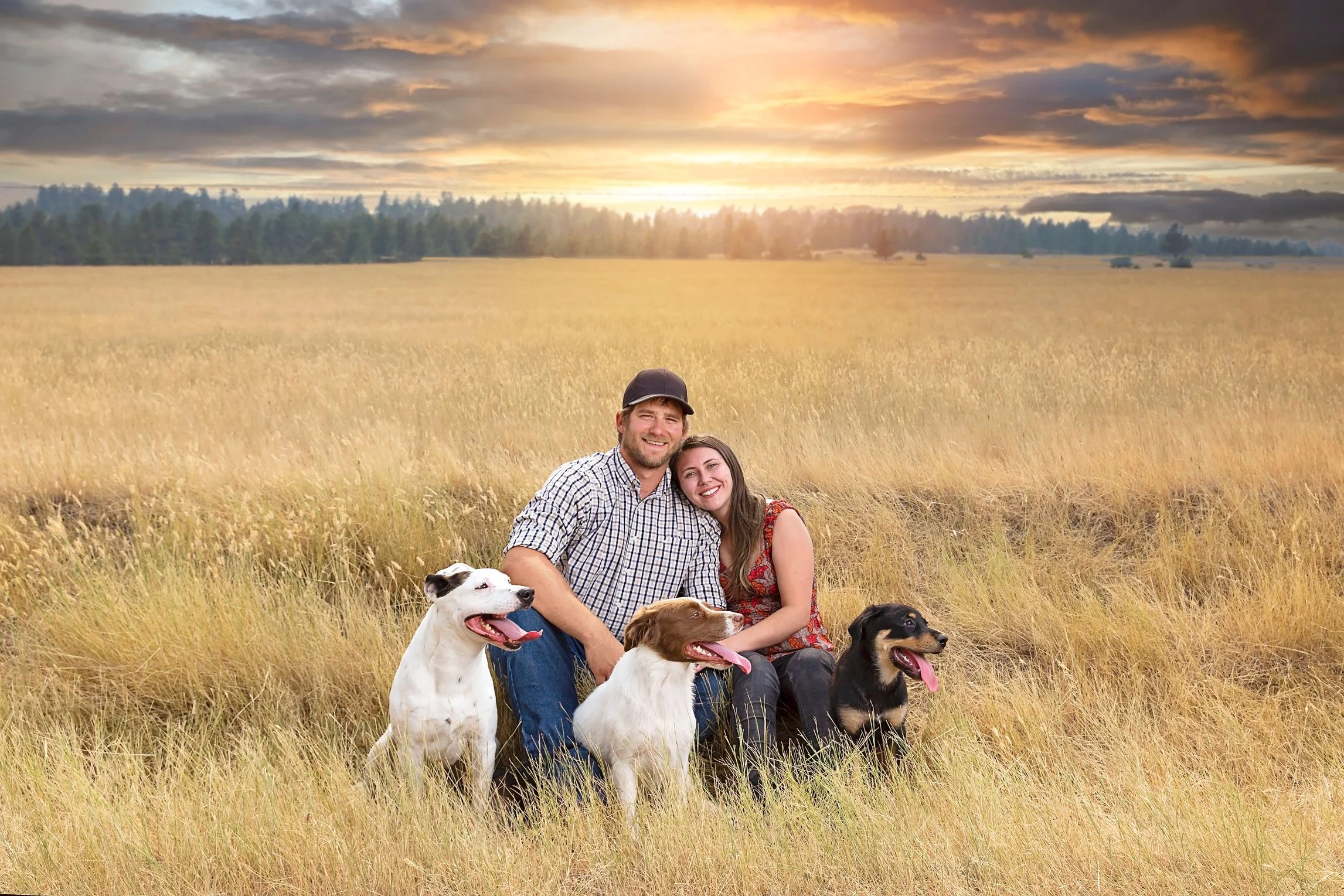 Outdoor family photo with husband and wife and their three dogs in a field at sunset