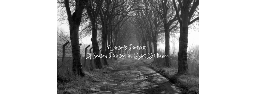 Winter’s Portrait: A Season Painted in Quiet Brilliance