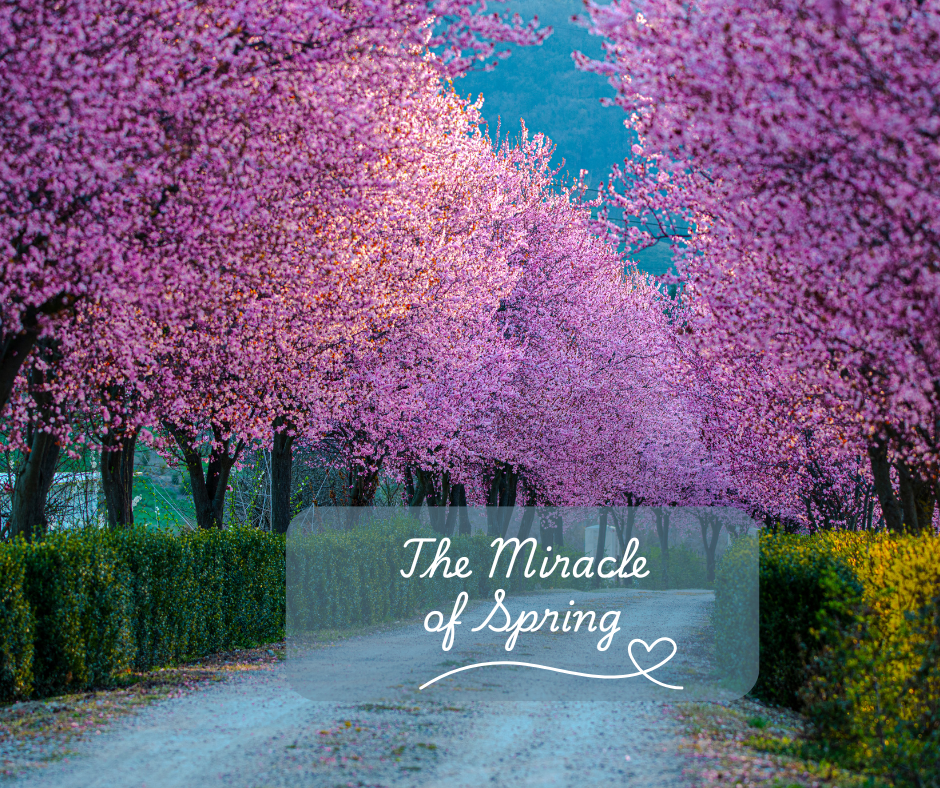 The Miracle of Spring: A Season of Renewal and Hope