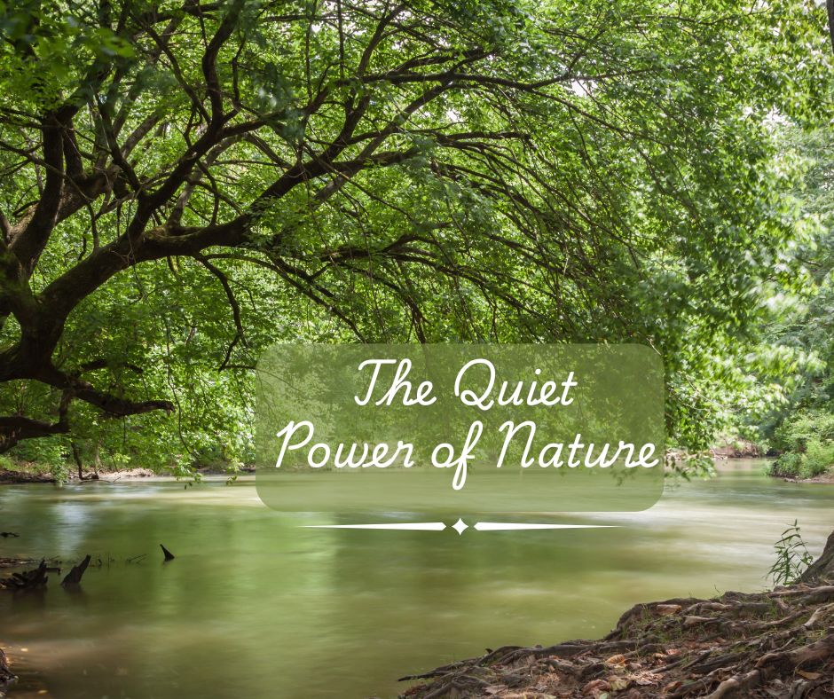 The Quiet Power of Nature