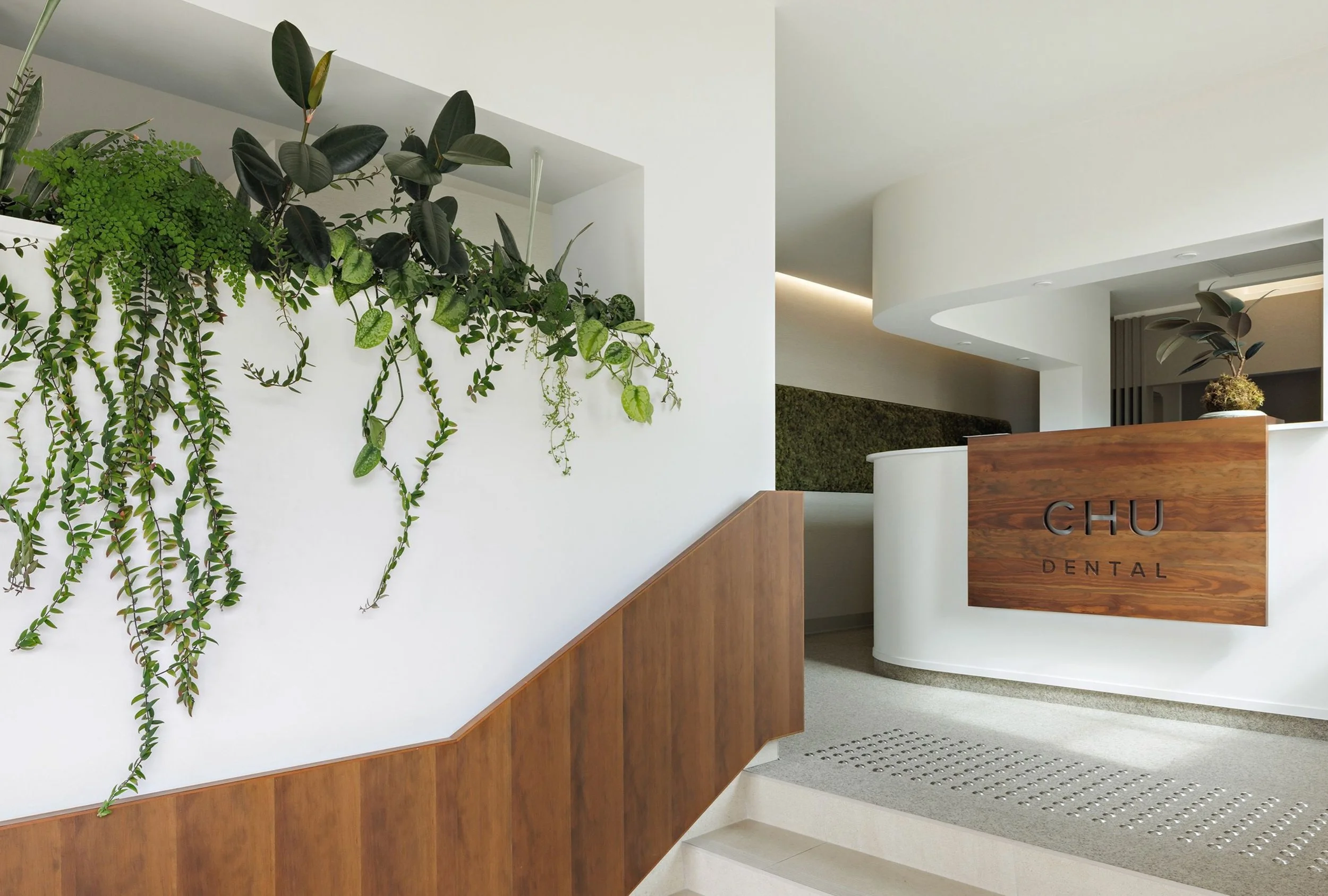 Chu Dental reception with cascading plants, warm wood panels, curved white walls, and a custom wood reception desk.
