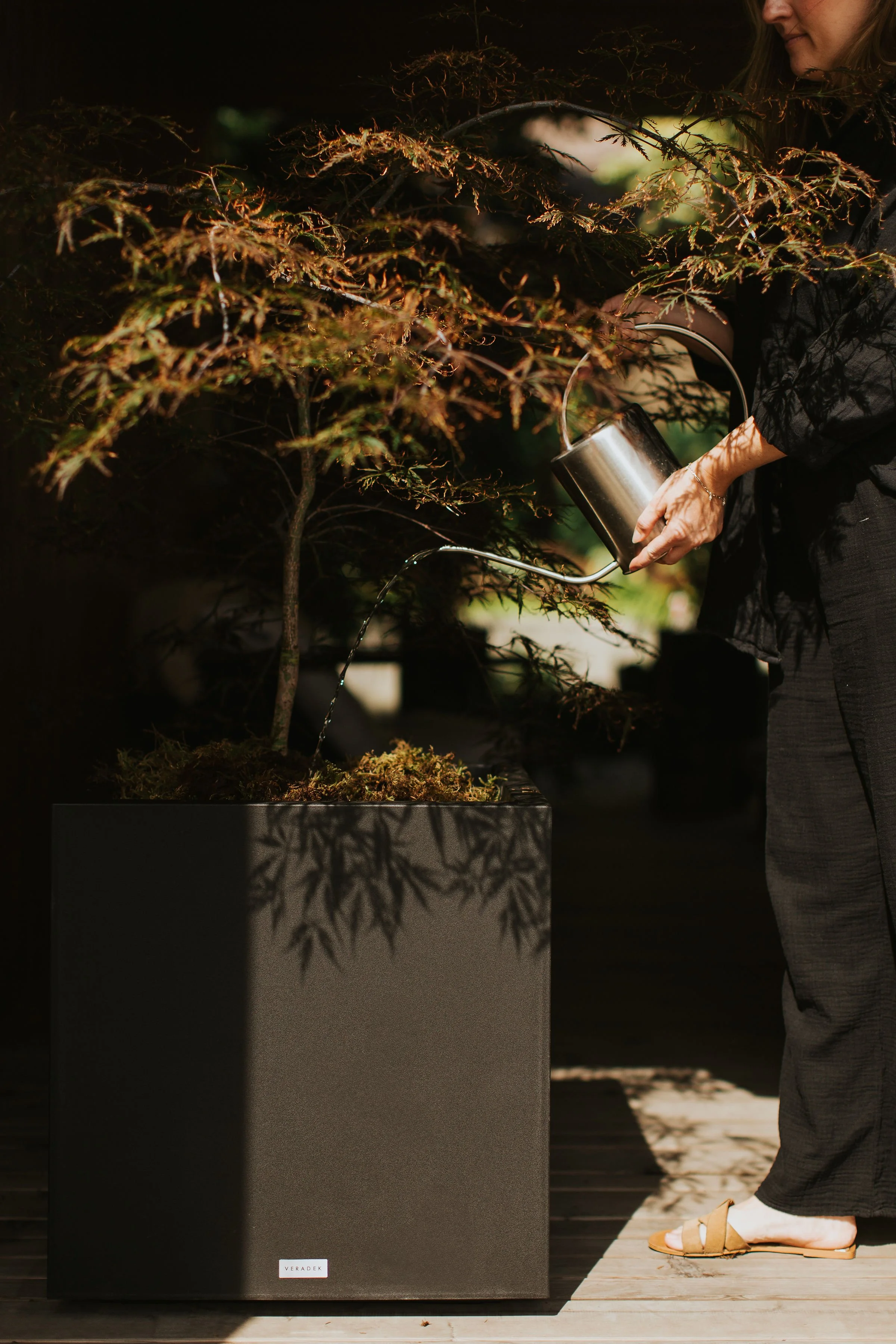 Person watering a bonsai tree in a dark setting, standing on a wooden platform with sunlight filtering in.