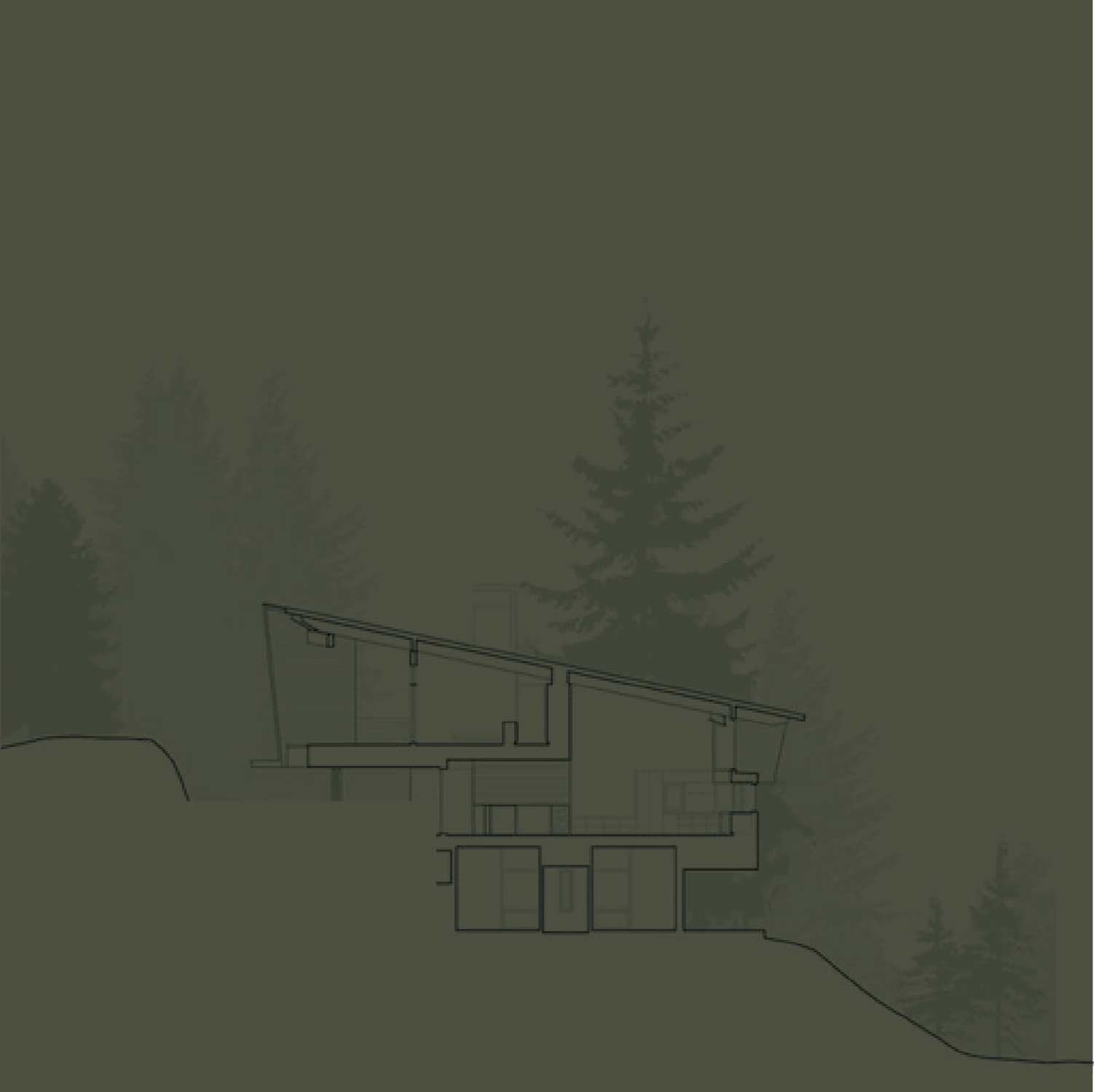 Architectural section of a hillside residence set among tall evergreen trees.