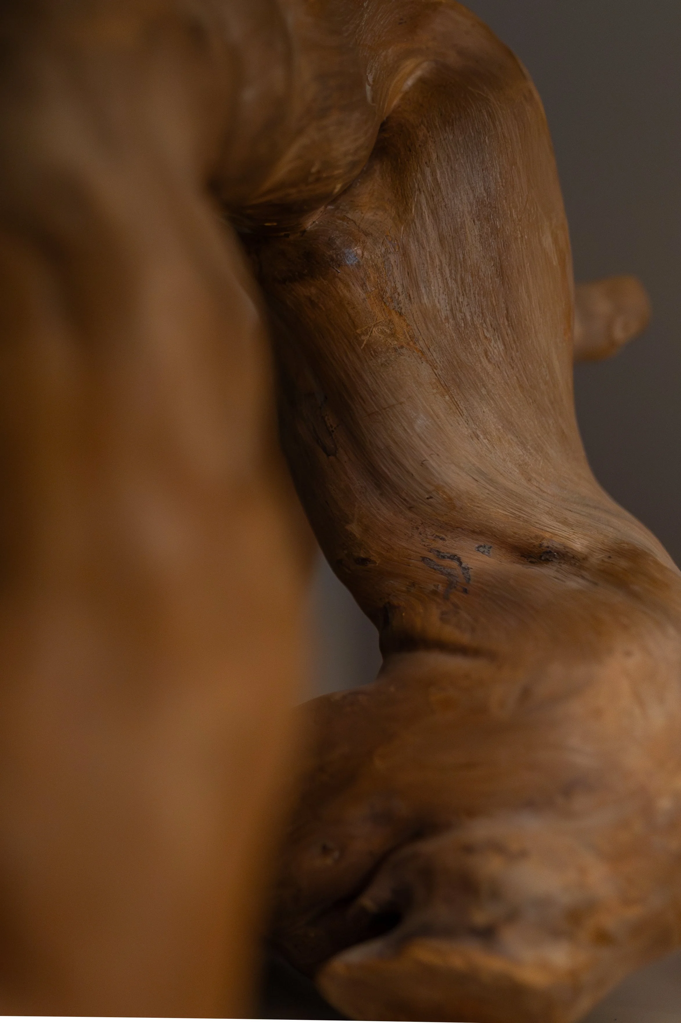 Close-up of a wooden sculpture showing detailed texture and curves.