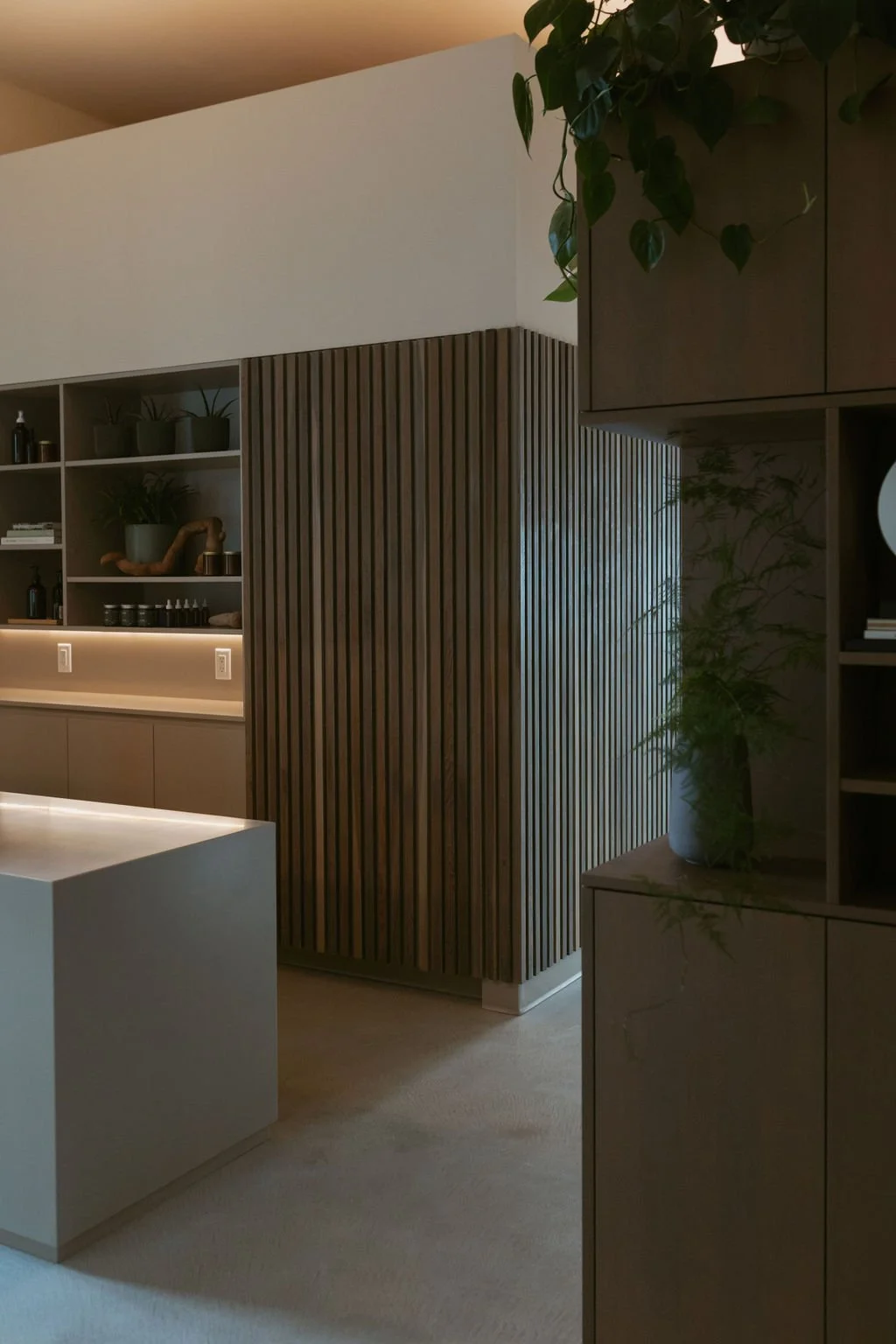S309 - Meridian Integrative Health - Salmon Arm - Interior Design - Biophilic Design - Massage - Acupuncture