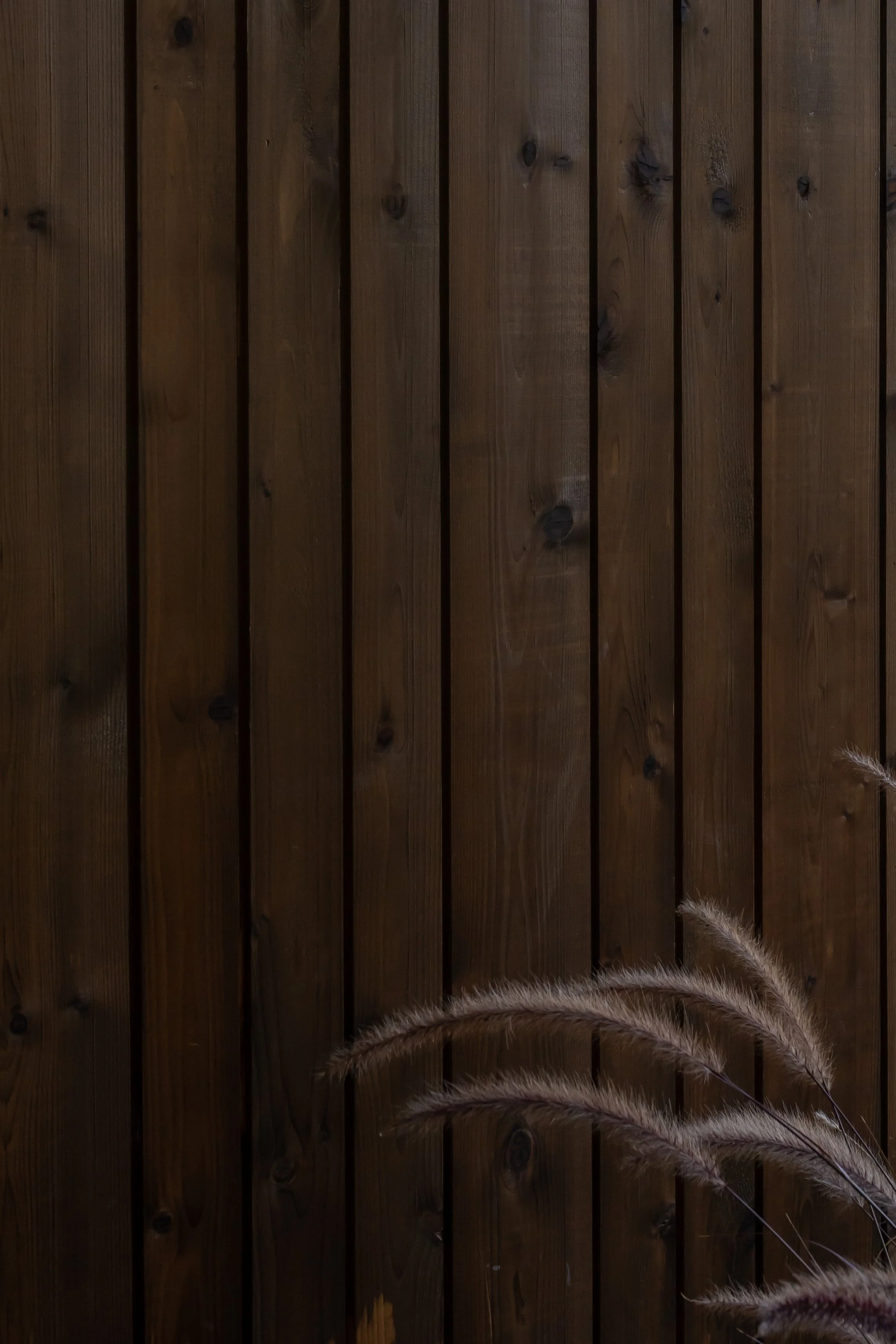 Dark brown wooden wall with vertical planks and a small section of beige and brown plants or grasses in the bottom right corner.